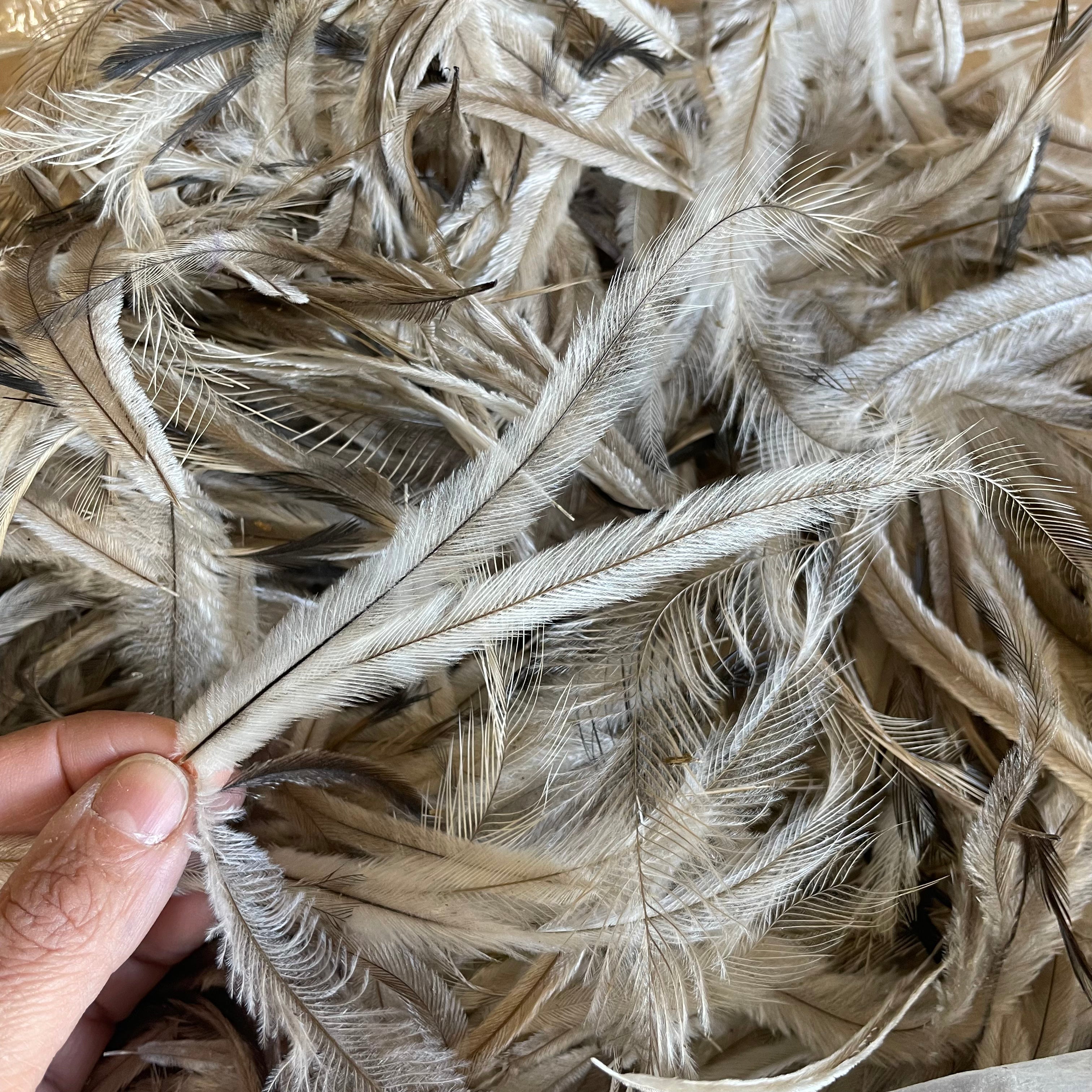 Emu Feathers 20 grams - Natural ((BULK PACK))