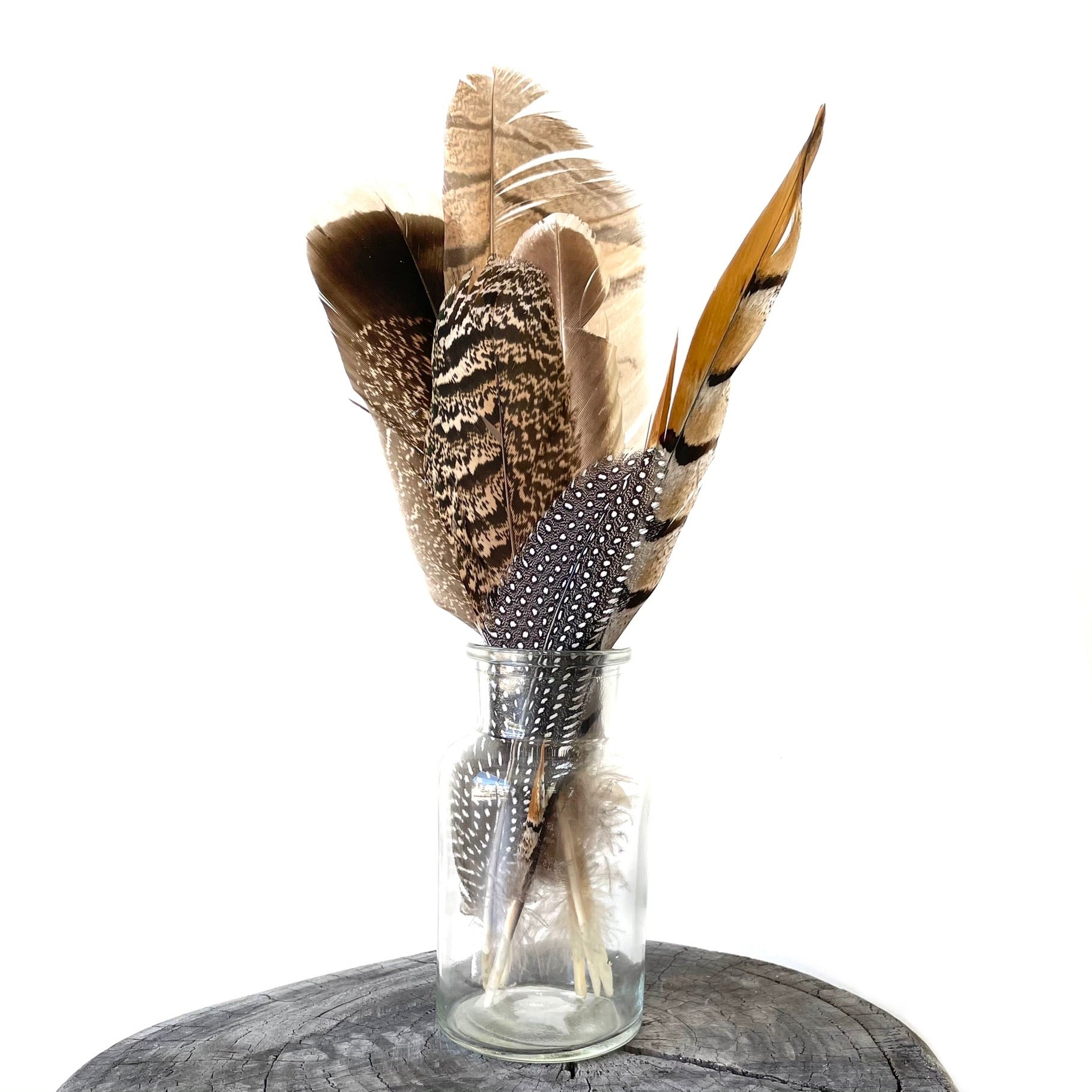 PHEASANT Natural Feathers 10-40cm Mixed Pack x 10