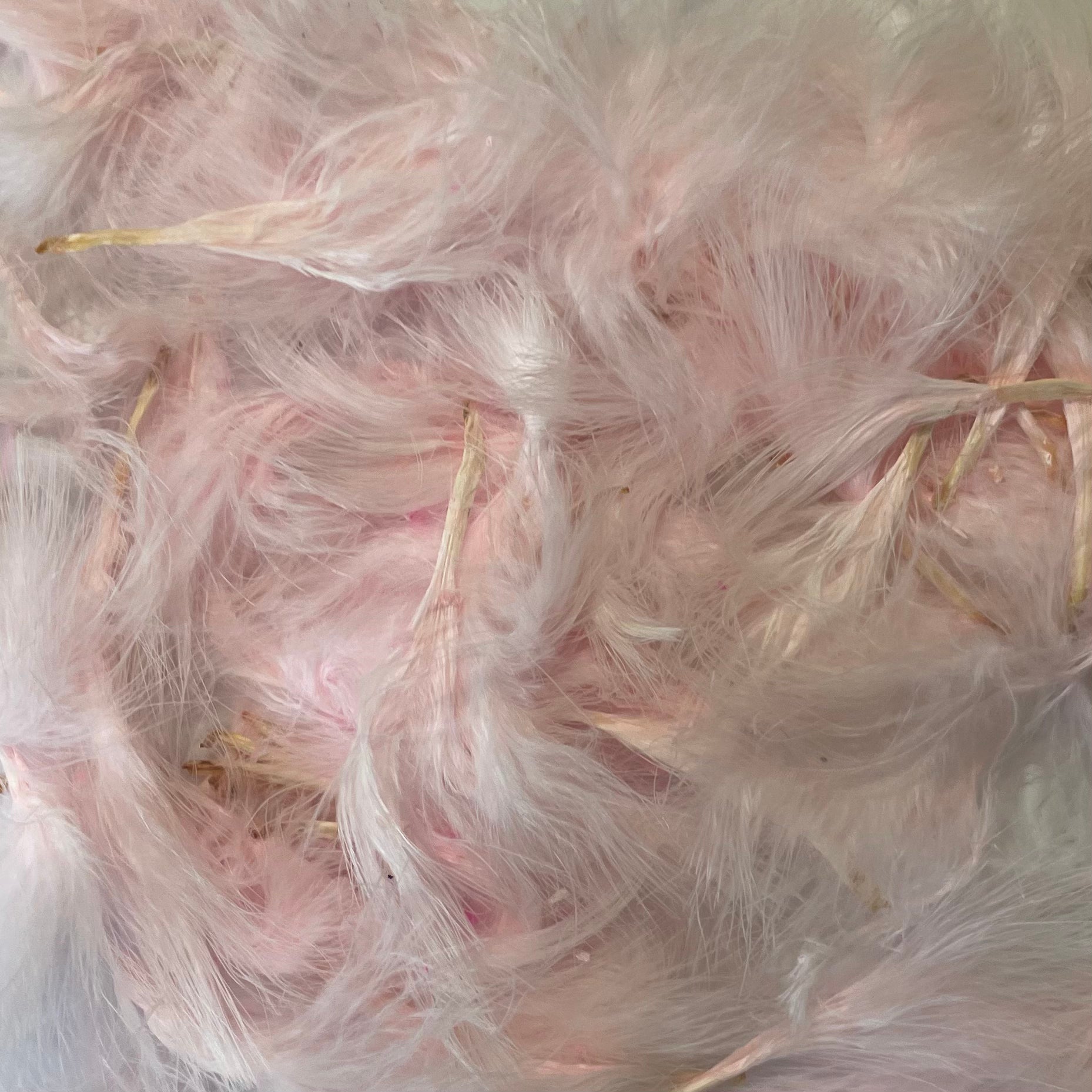 Itty Bitty Marabou Feather Plumage Pack 10 grams - Pink