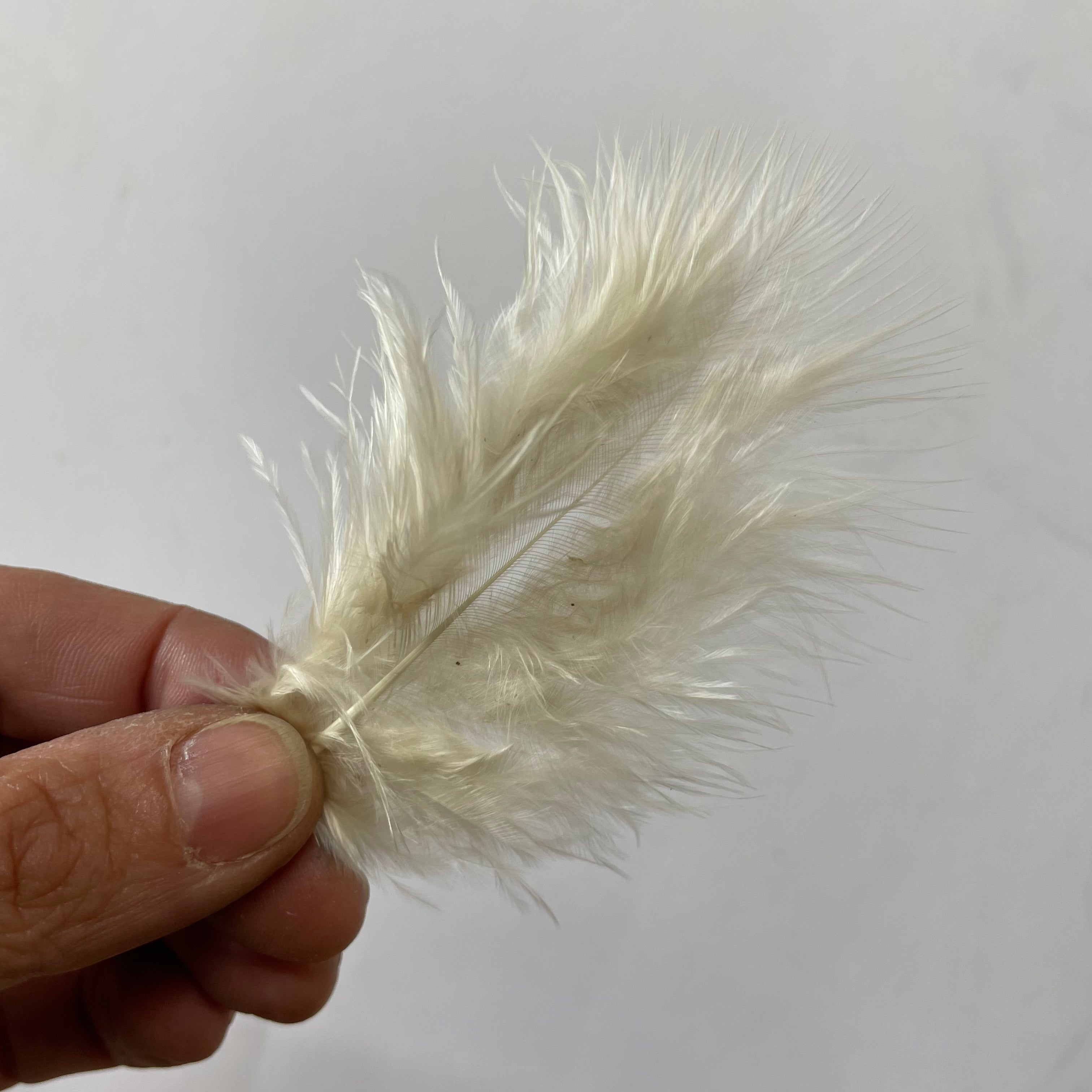 Fluffy Marabou Feather Plumage 10 grams - Champagne