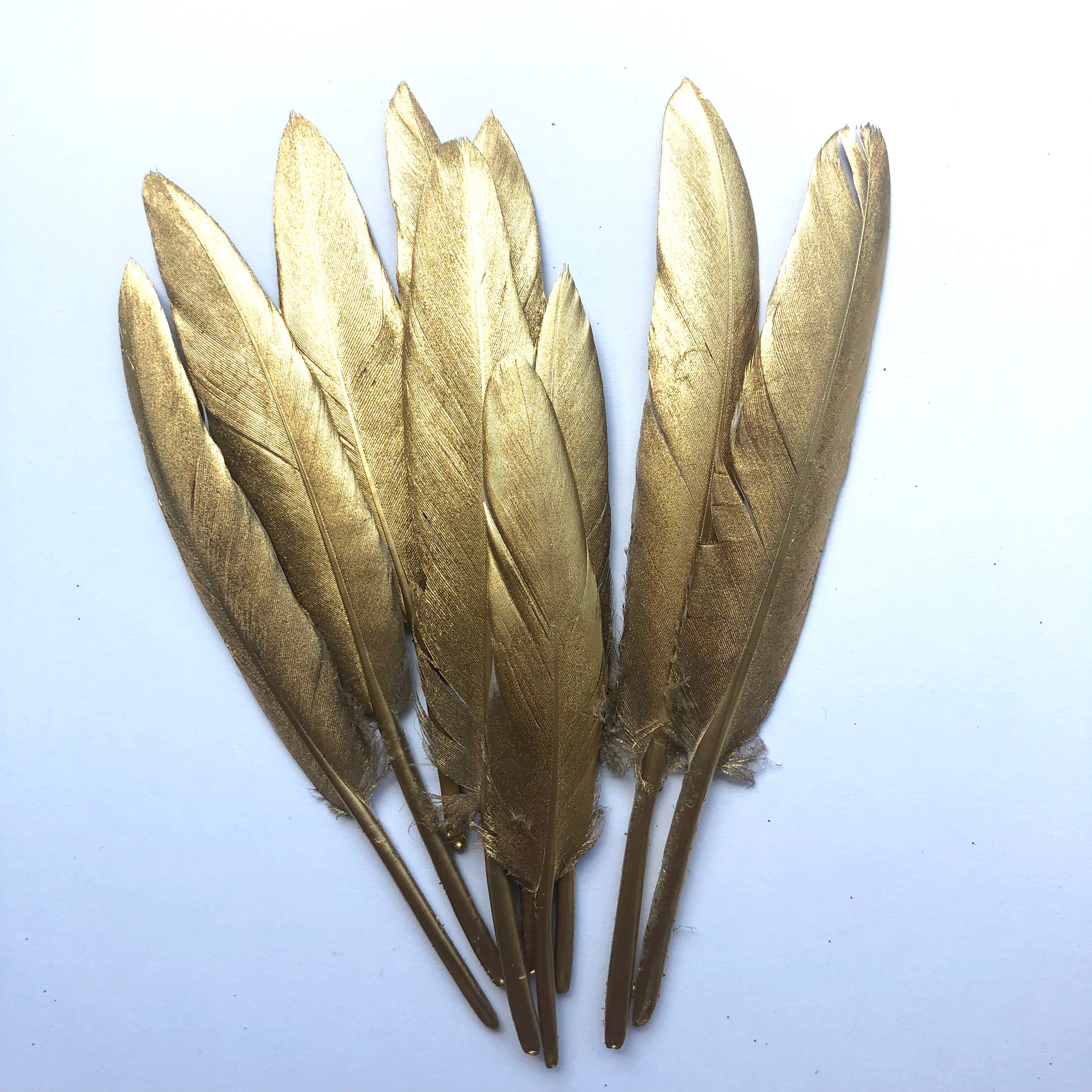 Tiny Goose Pointer Feather Solid Metallic Gold x 10 pcs - Style 30
