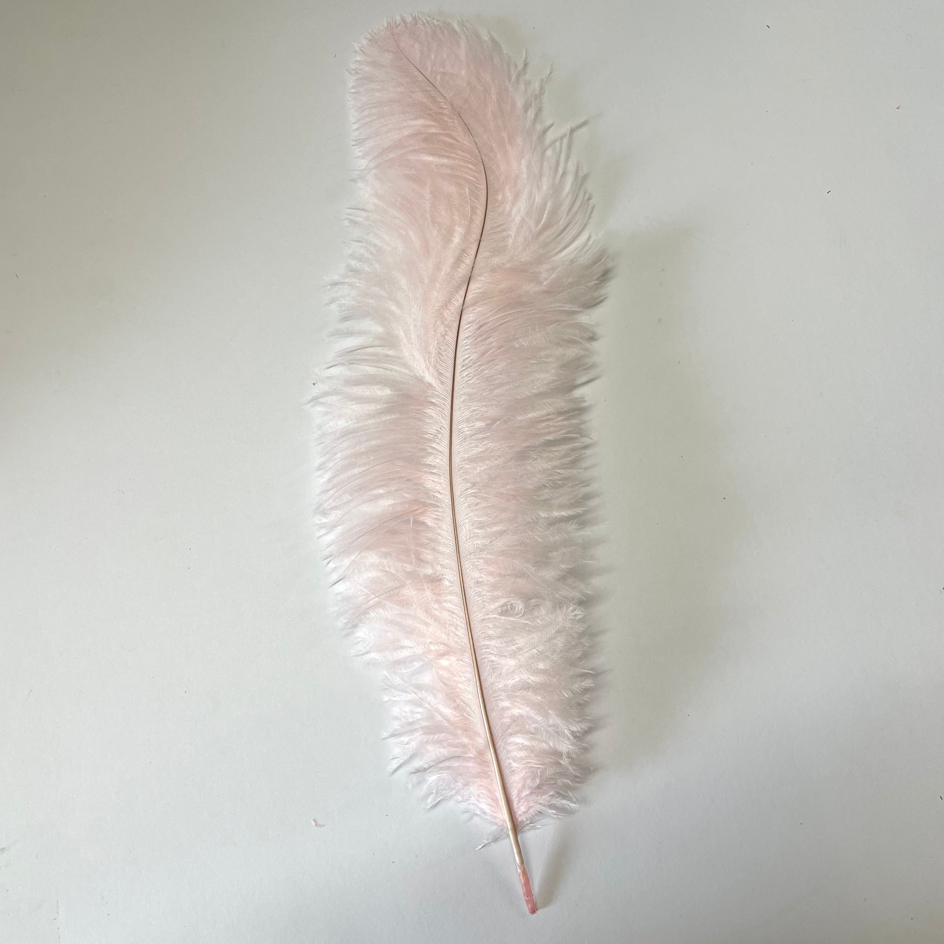 Ostrich Blondine Feather 25-40cm - Pink