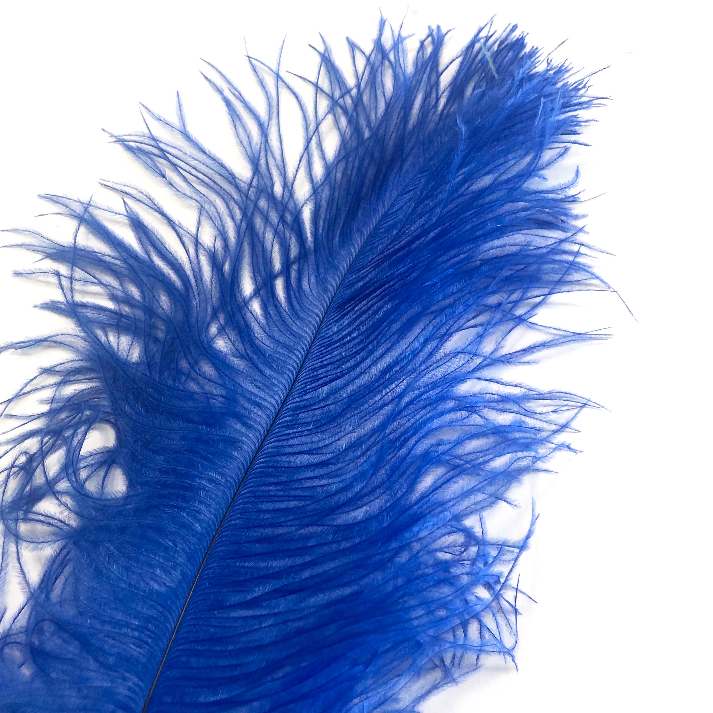 Ostrich Blondine Feather 25-40cm x 5 pcs - Royal Blue ((SECONDS))