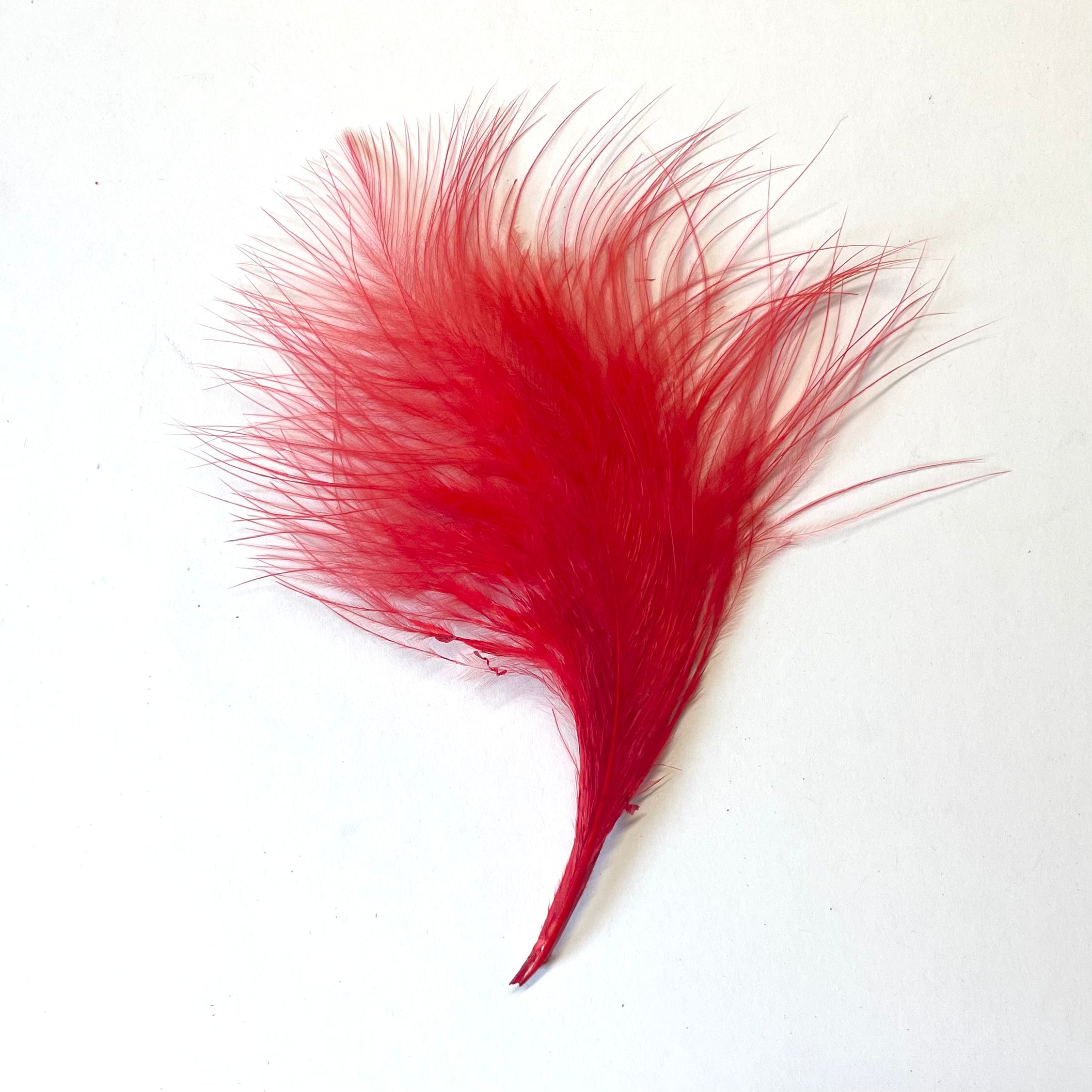 Itty Bitty Marabou Feather Plumage Pack 10 grams - Red