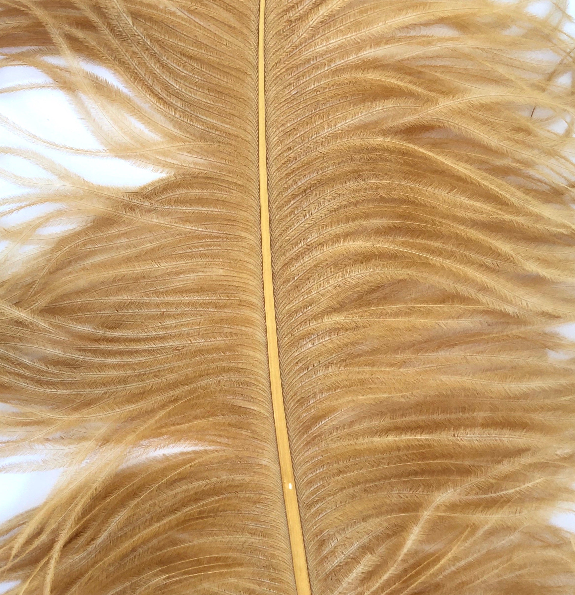 Ostrich Wing Feather Plumes 50-55cm (20-22") - Golden Tan Brown ((SECONDS))