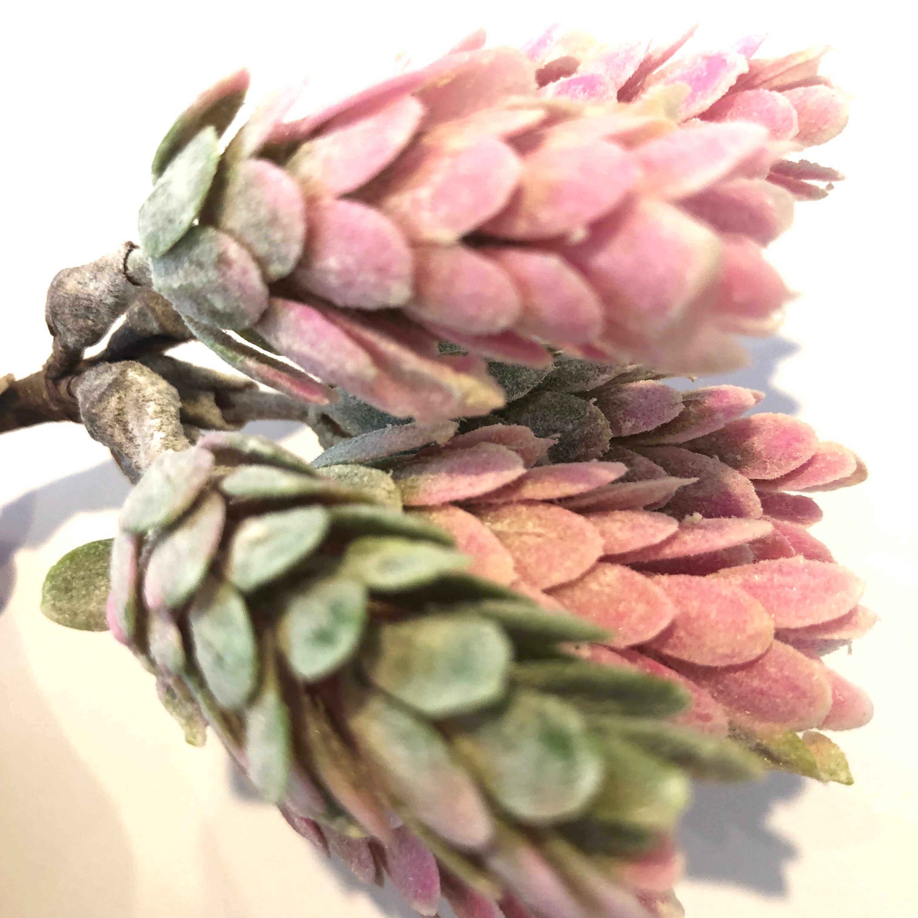 Artificial Succulent Wired Pick - Pink/Green (Style 1)