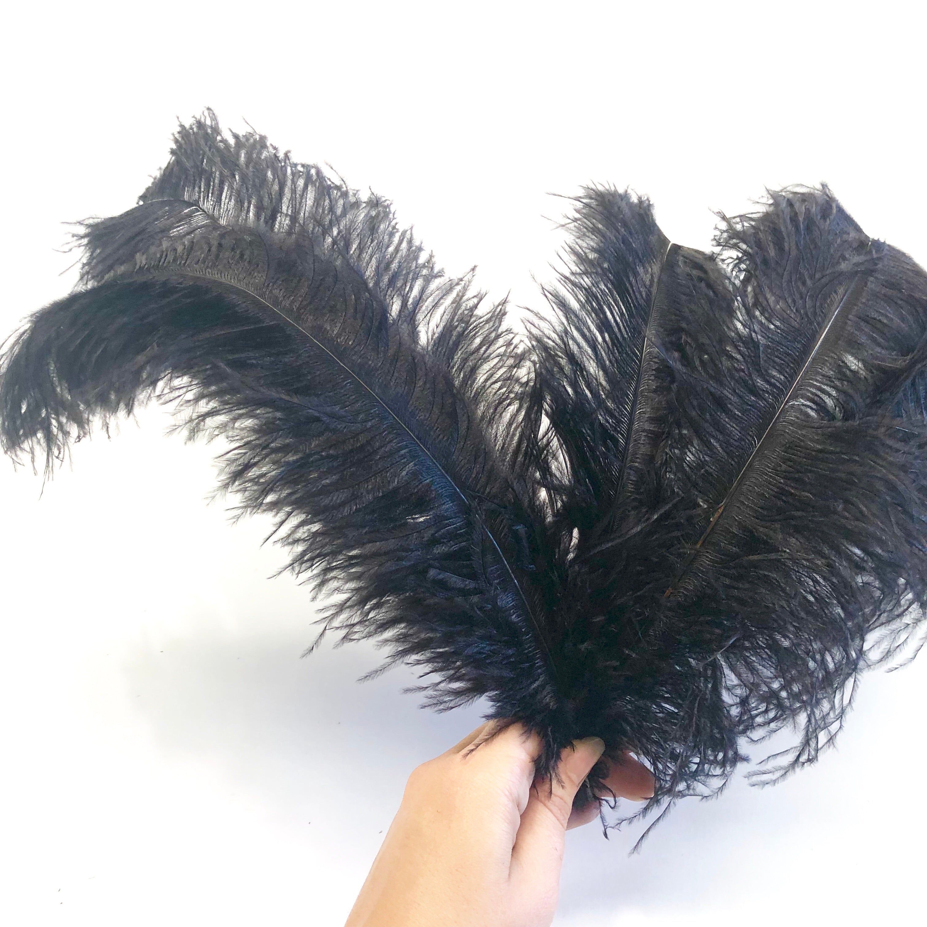 Ostrich Blondine Feather 25-40cm x 50 pcs - Black ((SECONDS)) BULK PACK