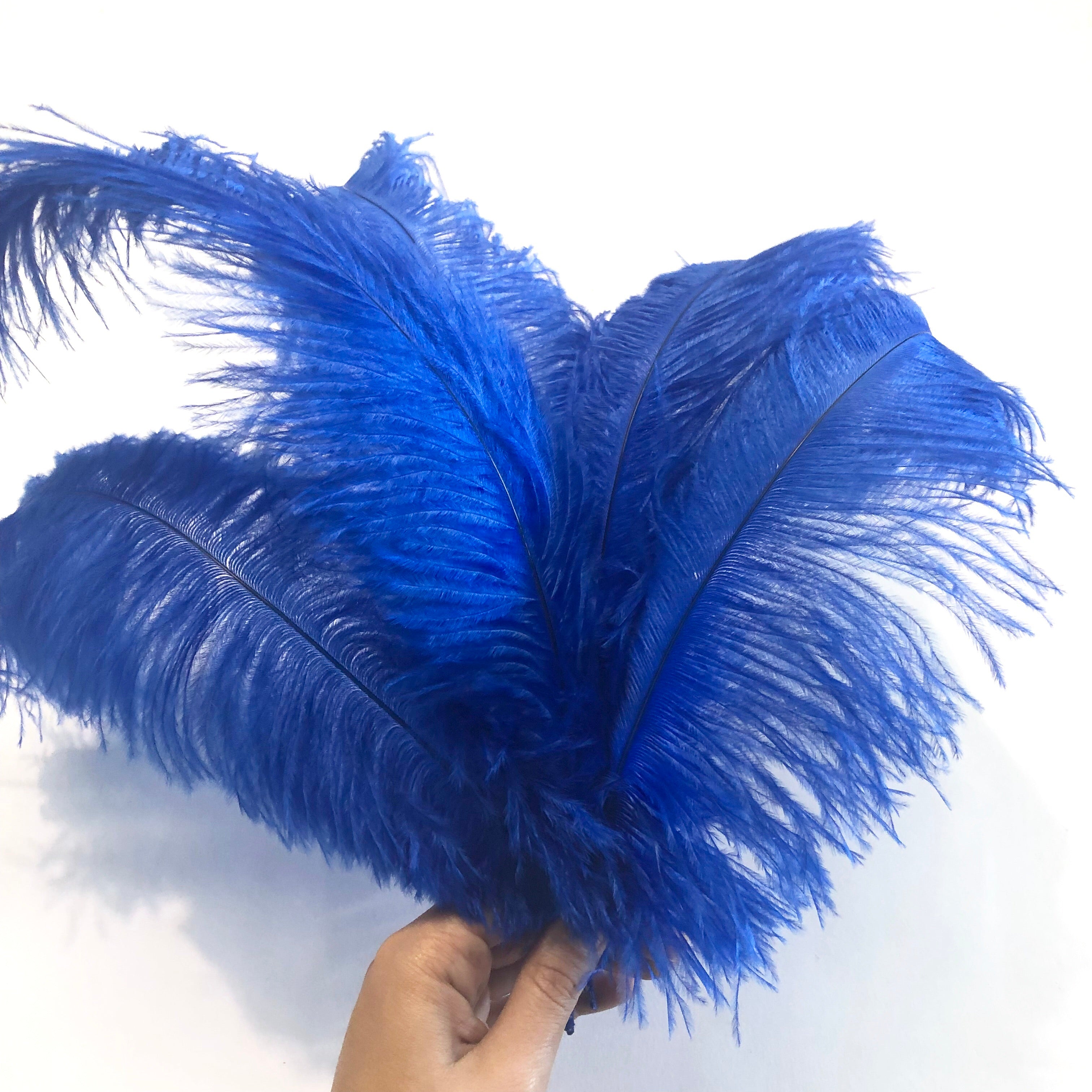 Ostrich Blondine Feather 25-40cm x 5 pcs - Royal Blue ((SECONDS))