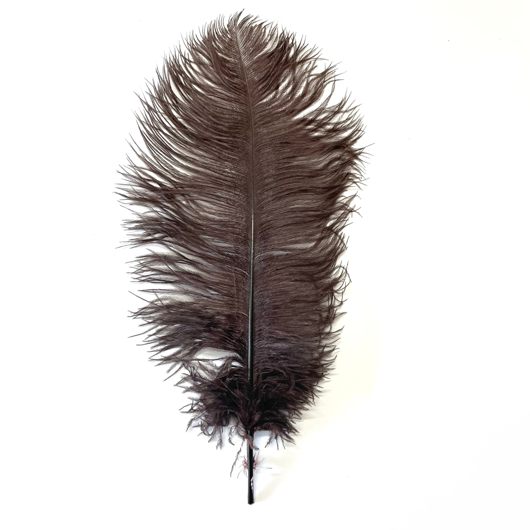 Ostrich Feather Drab 37-42cm - Chocolate Brown