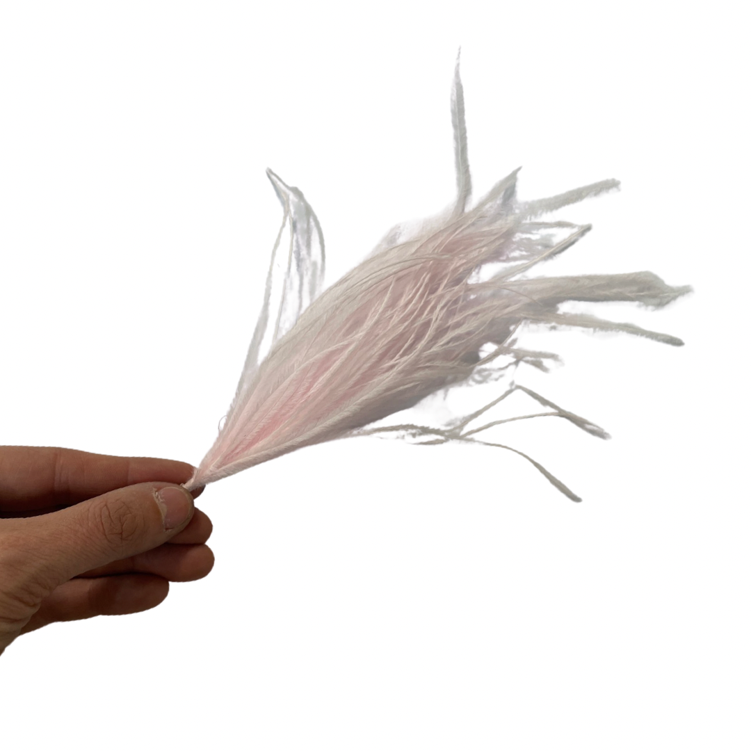 Ostrich Feather Pincher - Pink