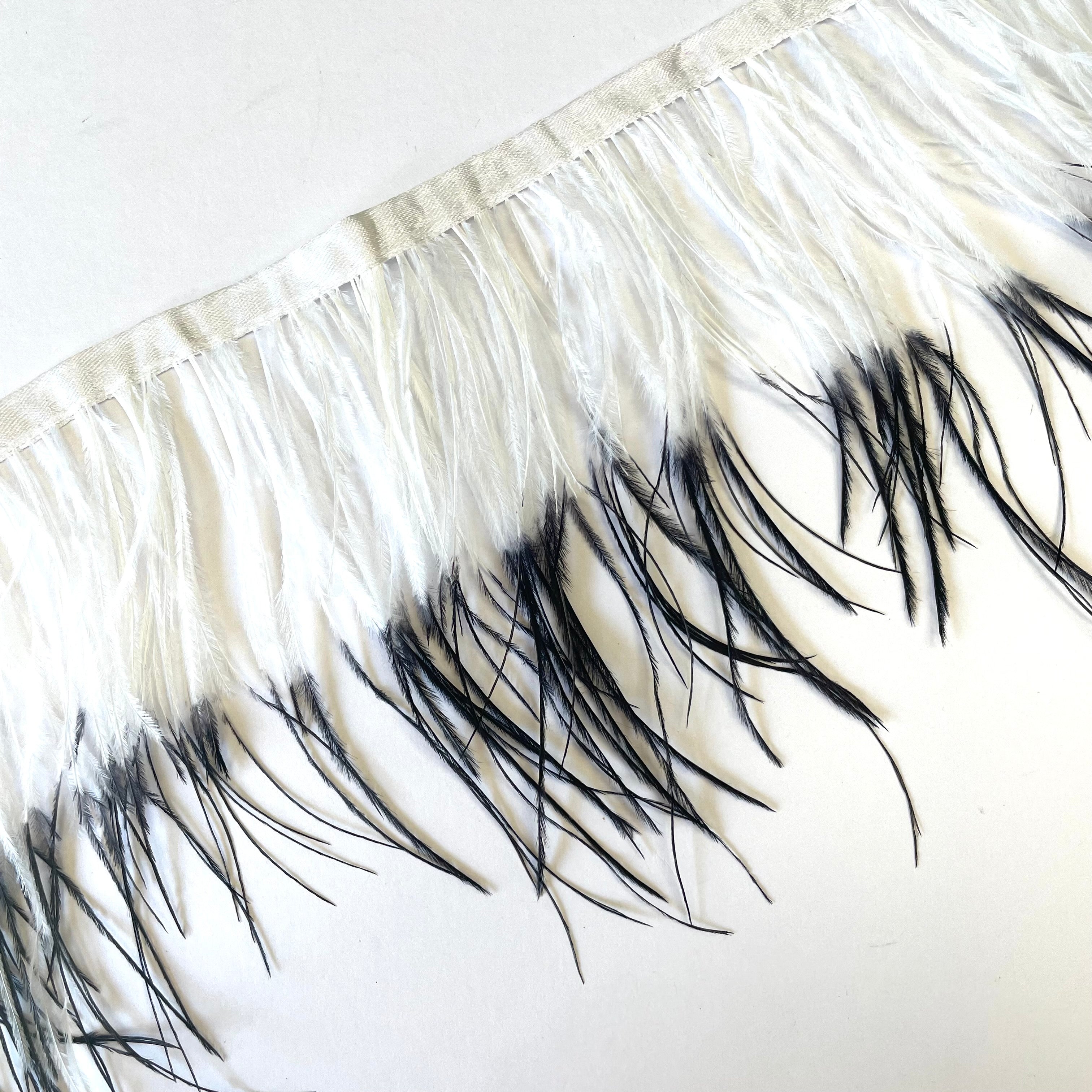 Ostrich Feathers Strung per metre - Two Tone White / Black