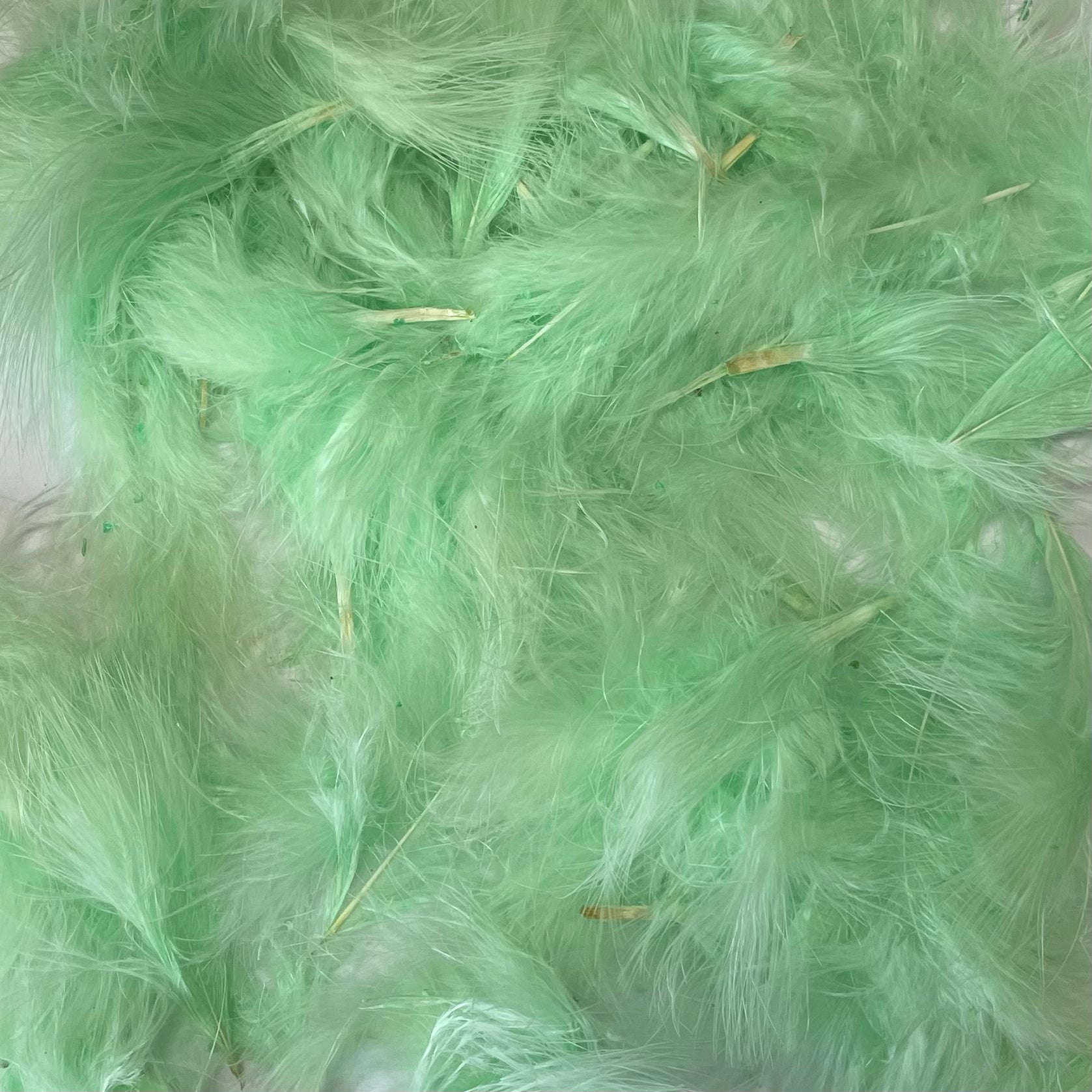 Itty Bitty Marabou Feather Plumage Pack 10 grams - Mint Green