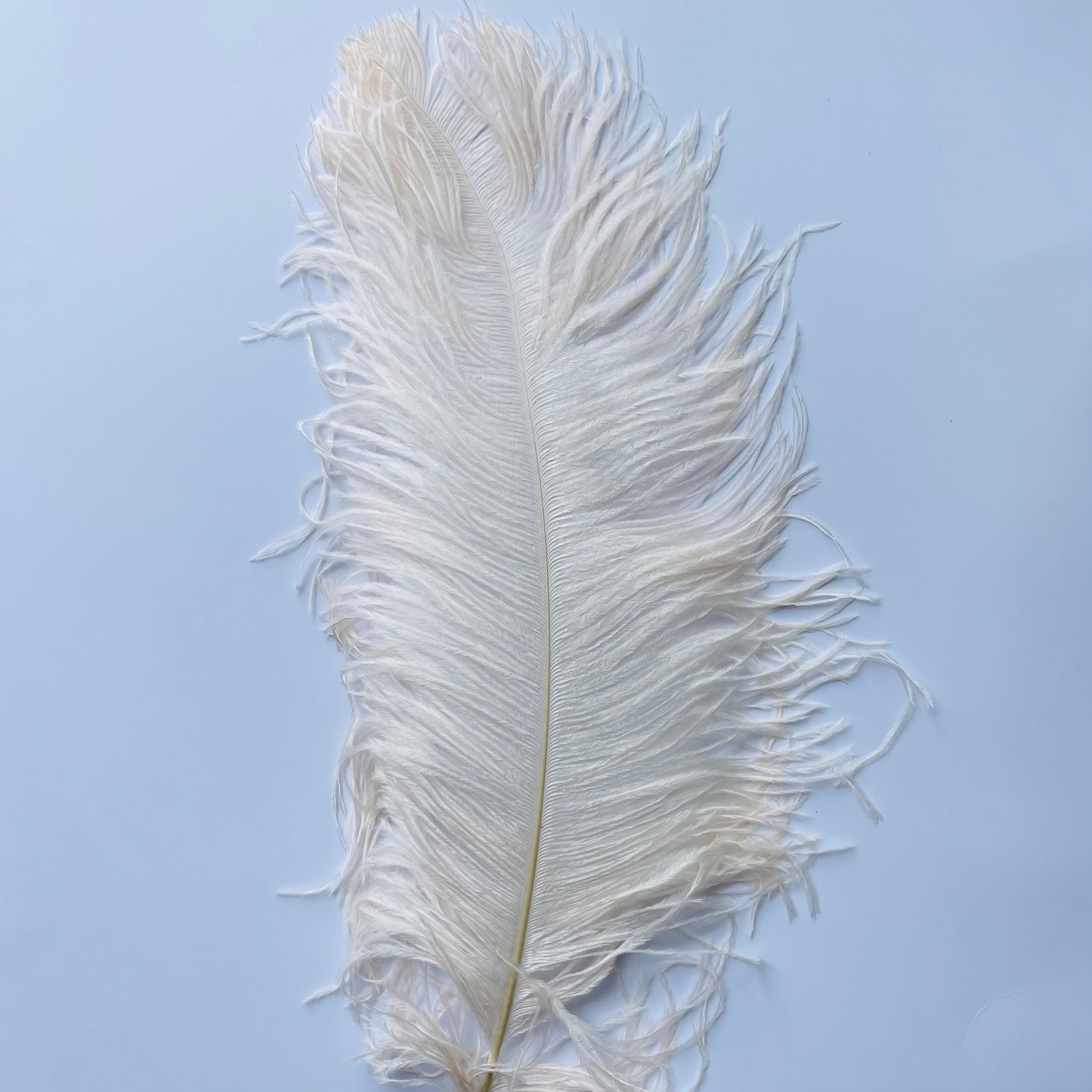 Ostrich Wing Feather Plumes 60-65cm (24-26") - Pink Champagne ((SECONDS))