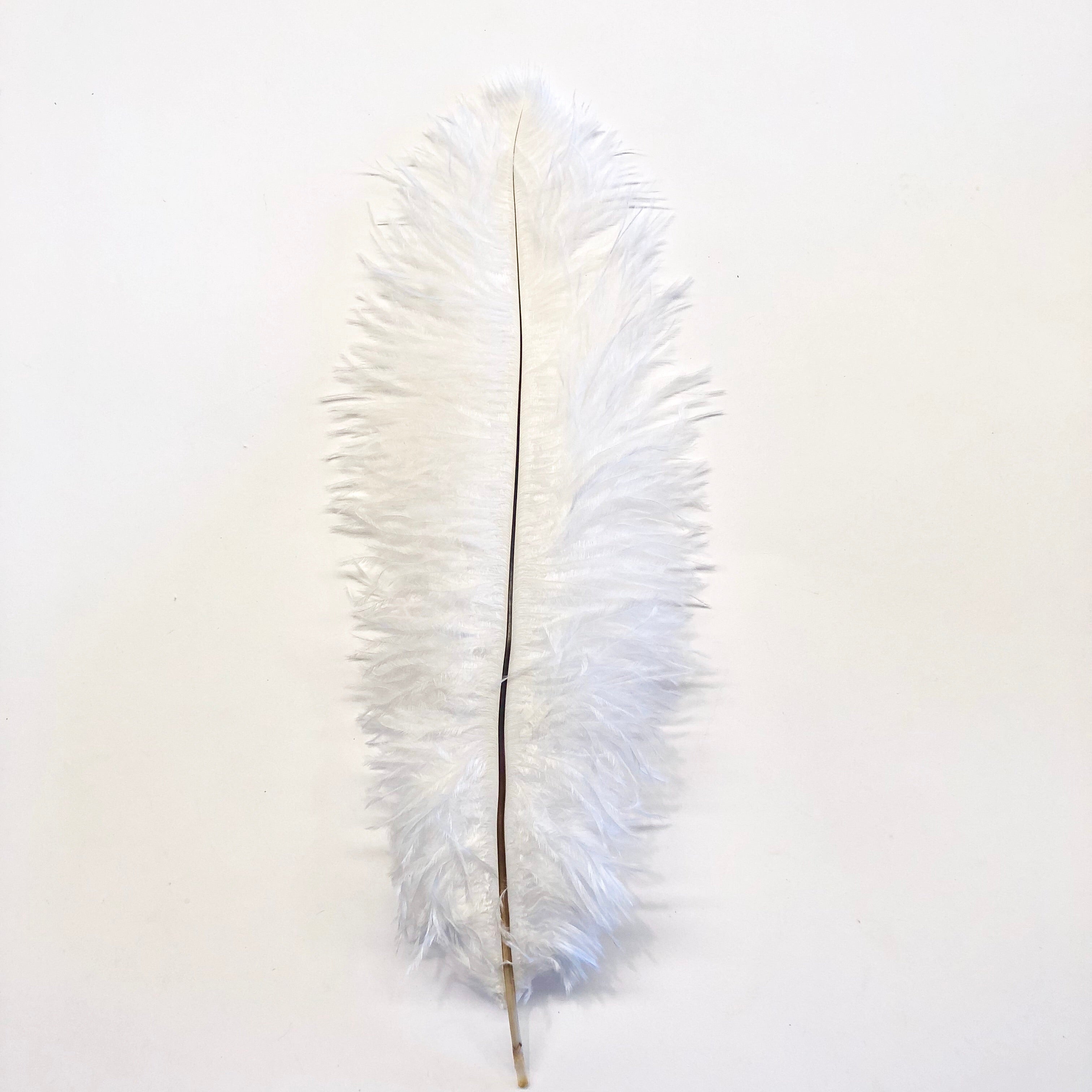 Ostrich Blondine Feather 25-40cm x 5 pcs - White ((SECONDS))