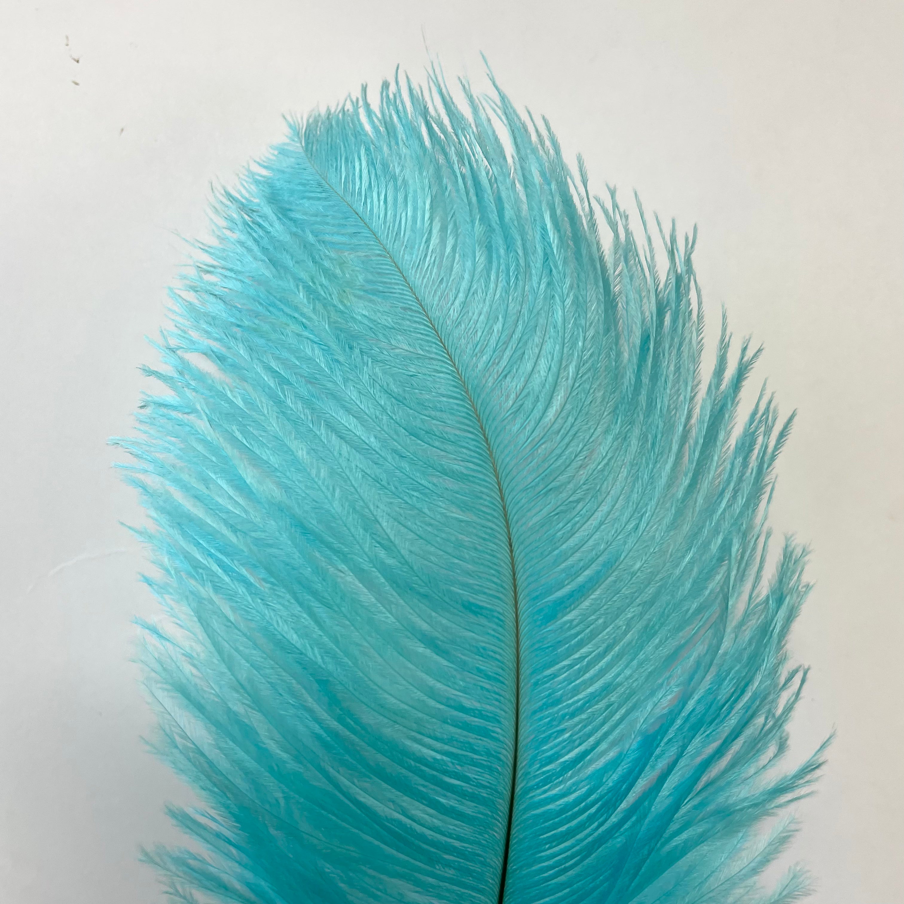 Ostrich Drab Feather 27-32cm - Ice Blue *Seconds* Pack of 5