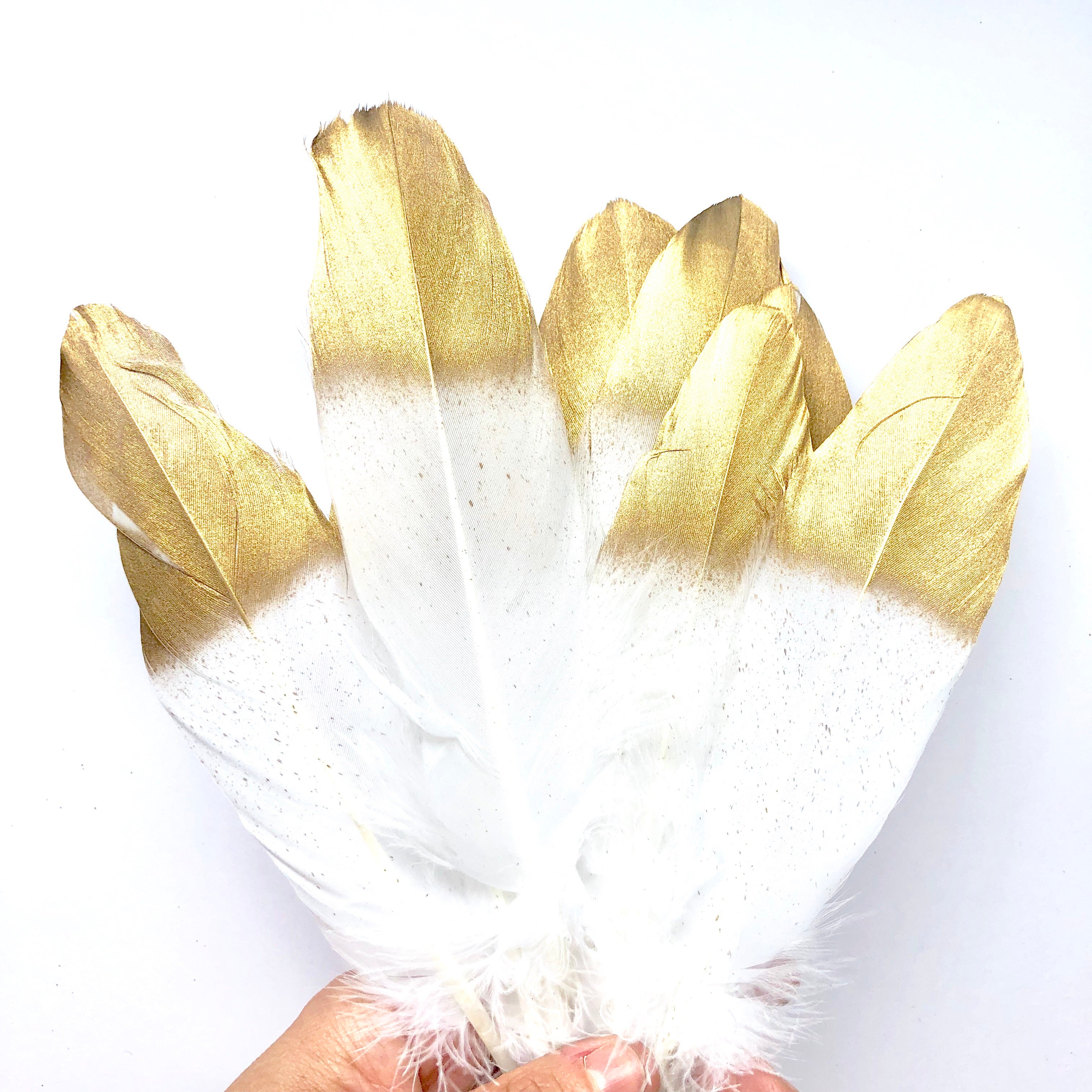 Goose Pointer Feather Gold Tipped x 10 pcs - White - Style 24