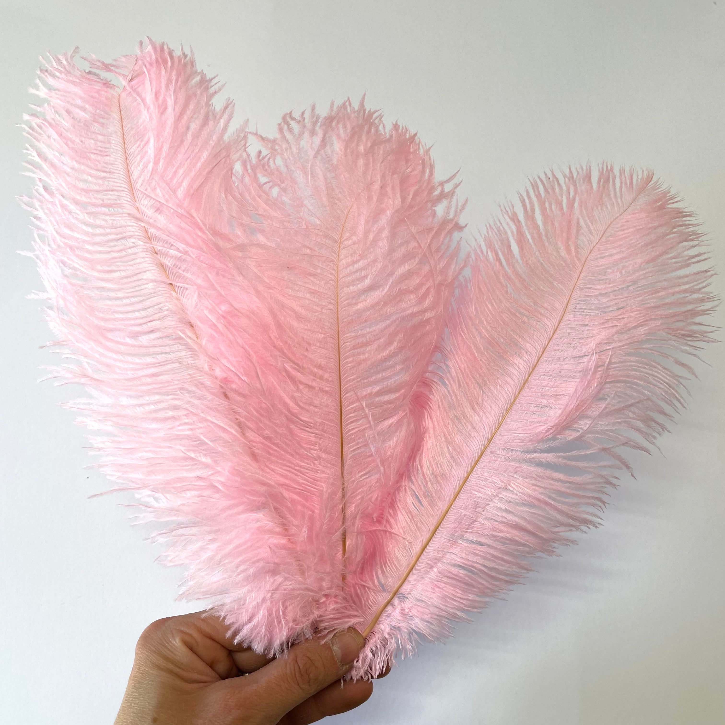 Ostrich Drab Feather 27-32cm - Candy Pink