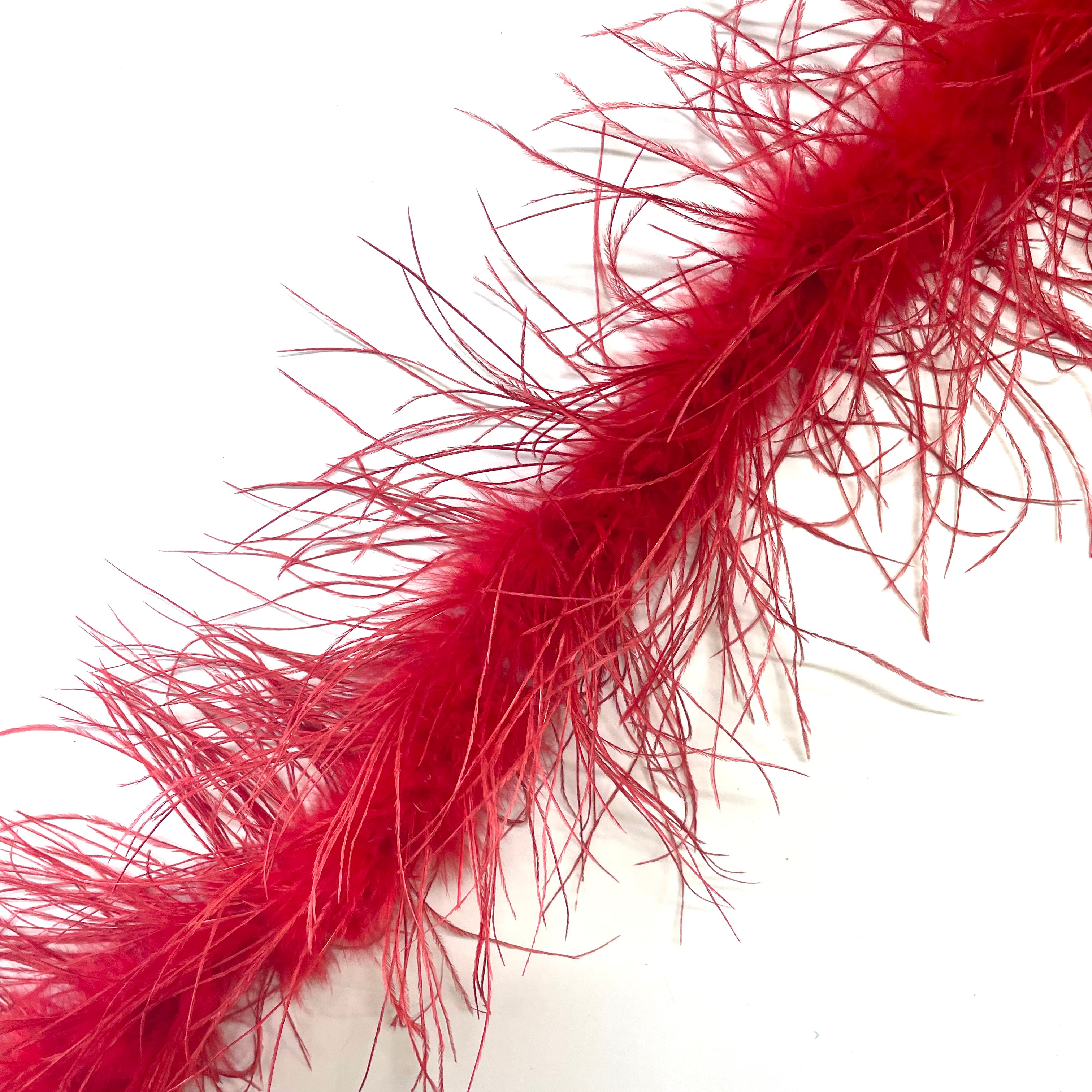 Ostrich & Marabou Feather Boa Trim per 10cm - Red