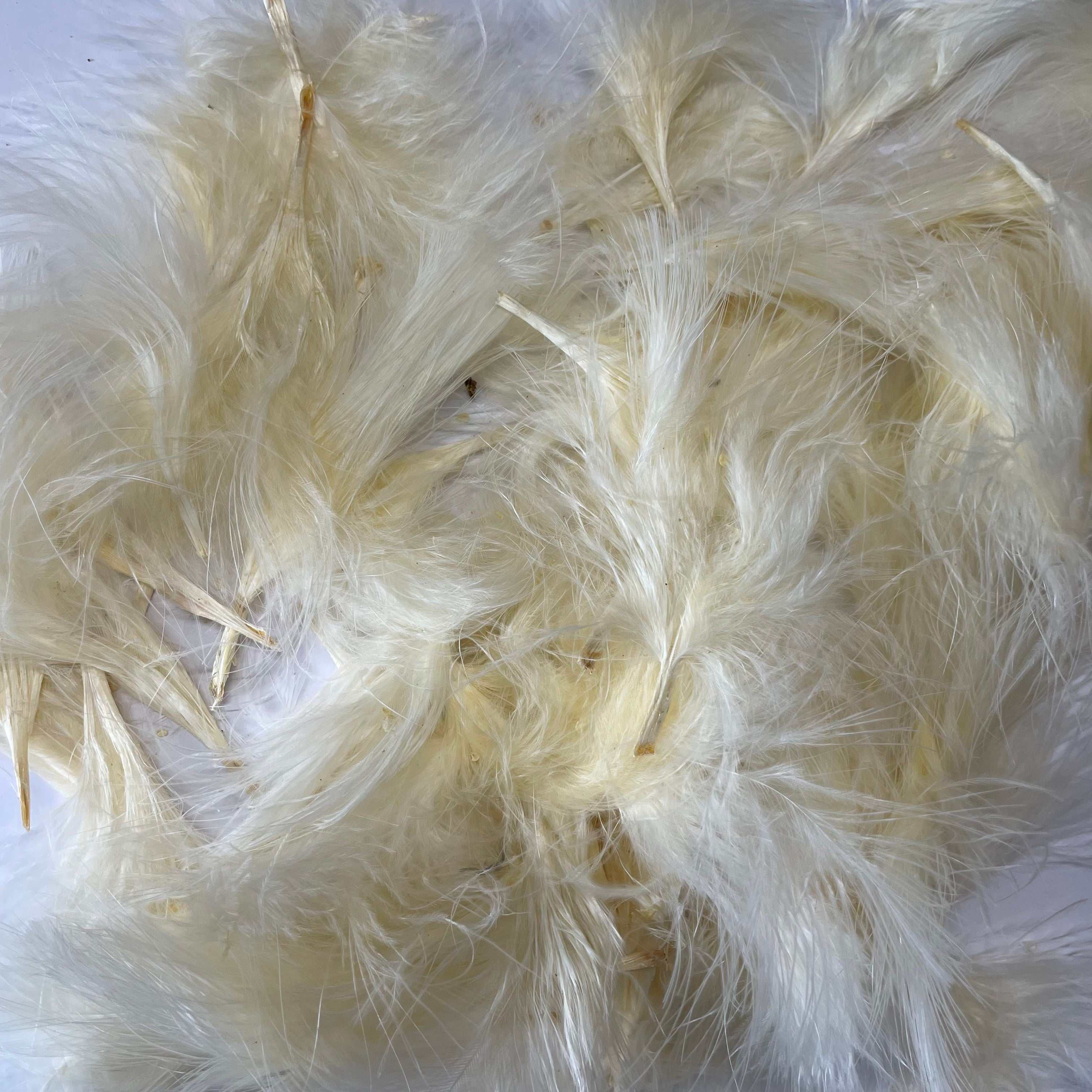 Itty Bitty Marabou Feather Plumage Pack 10 grams - Ivory