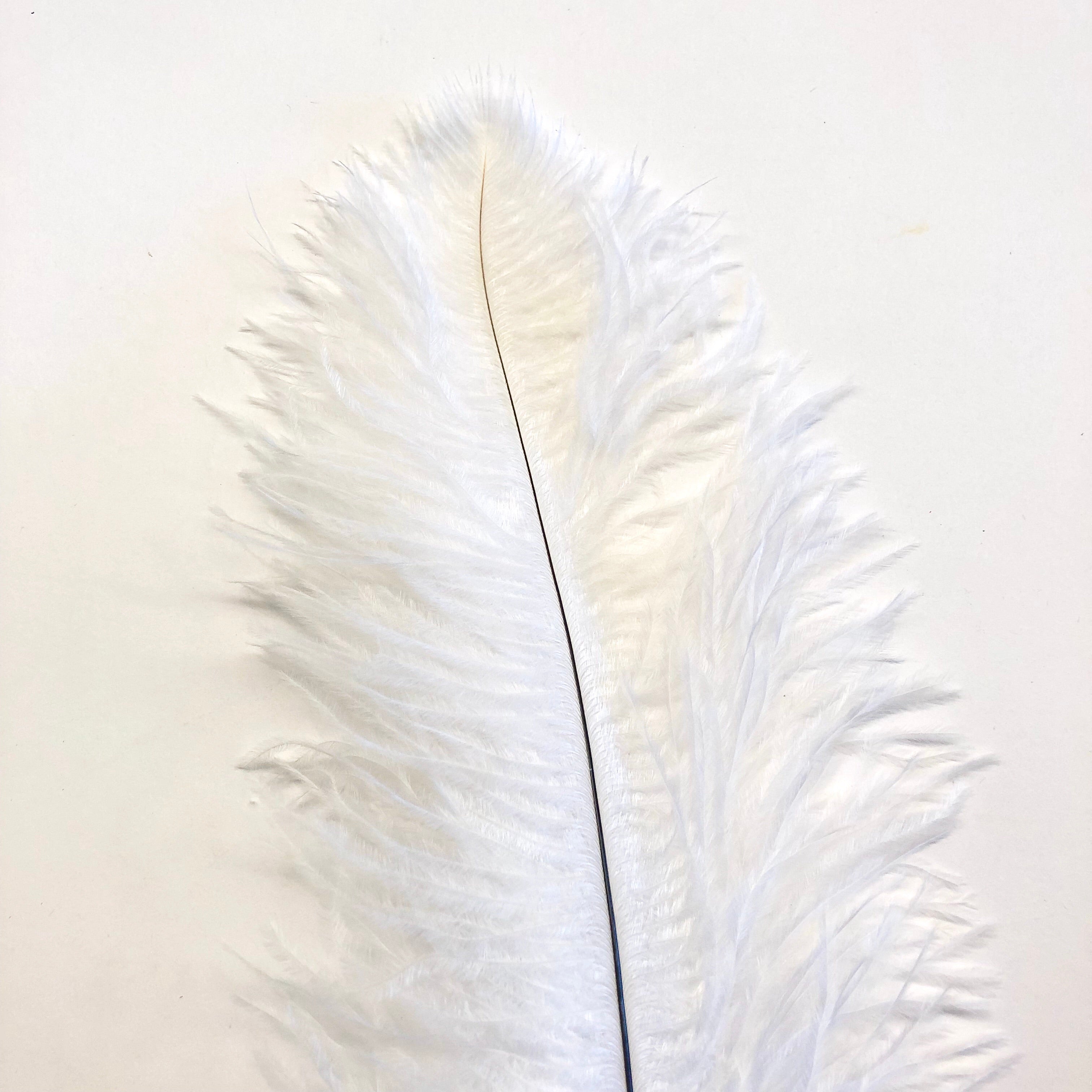 Ostrich Blondine Feather 25-40cm - White