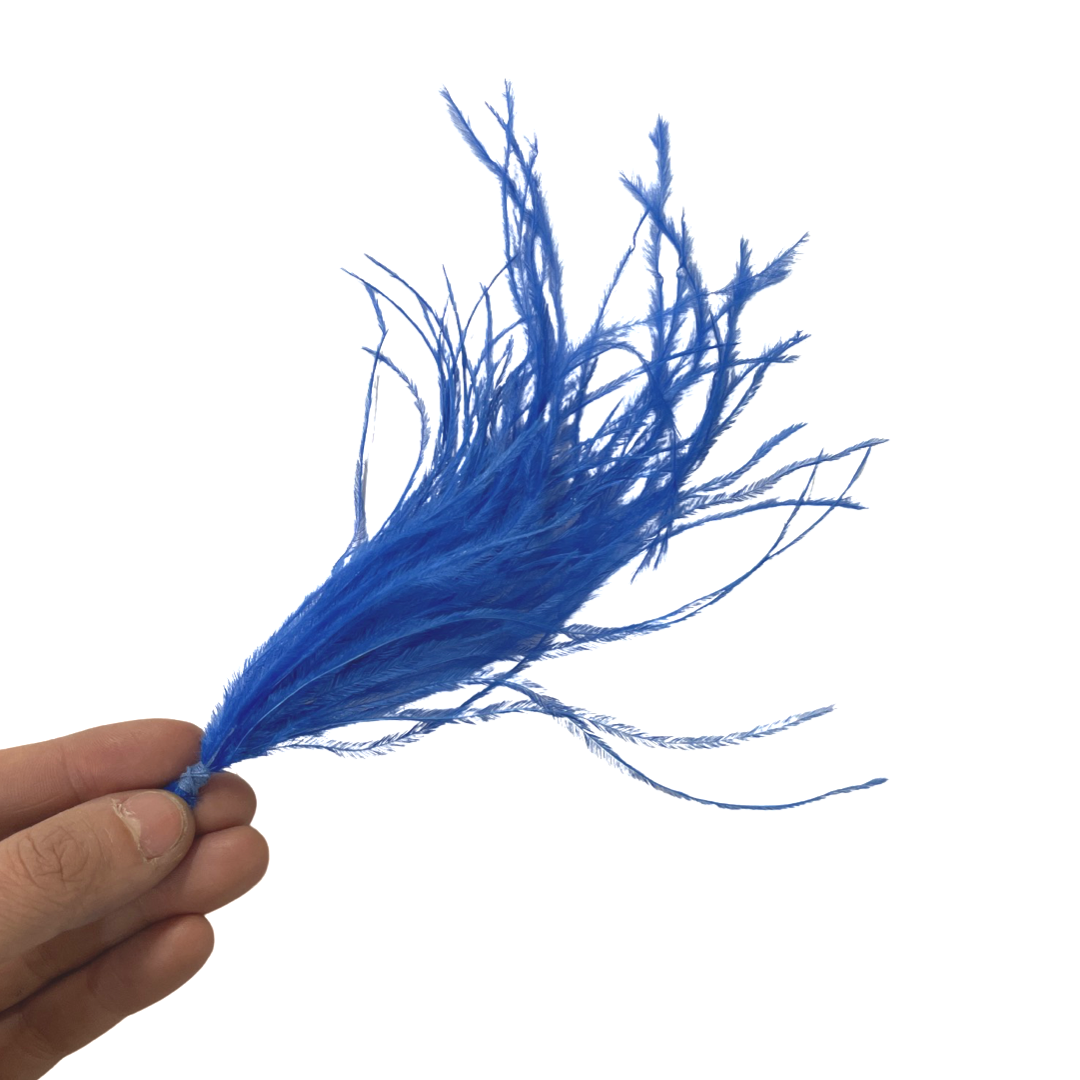 Ostrich Feather Pincher - Royal Blue