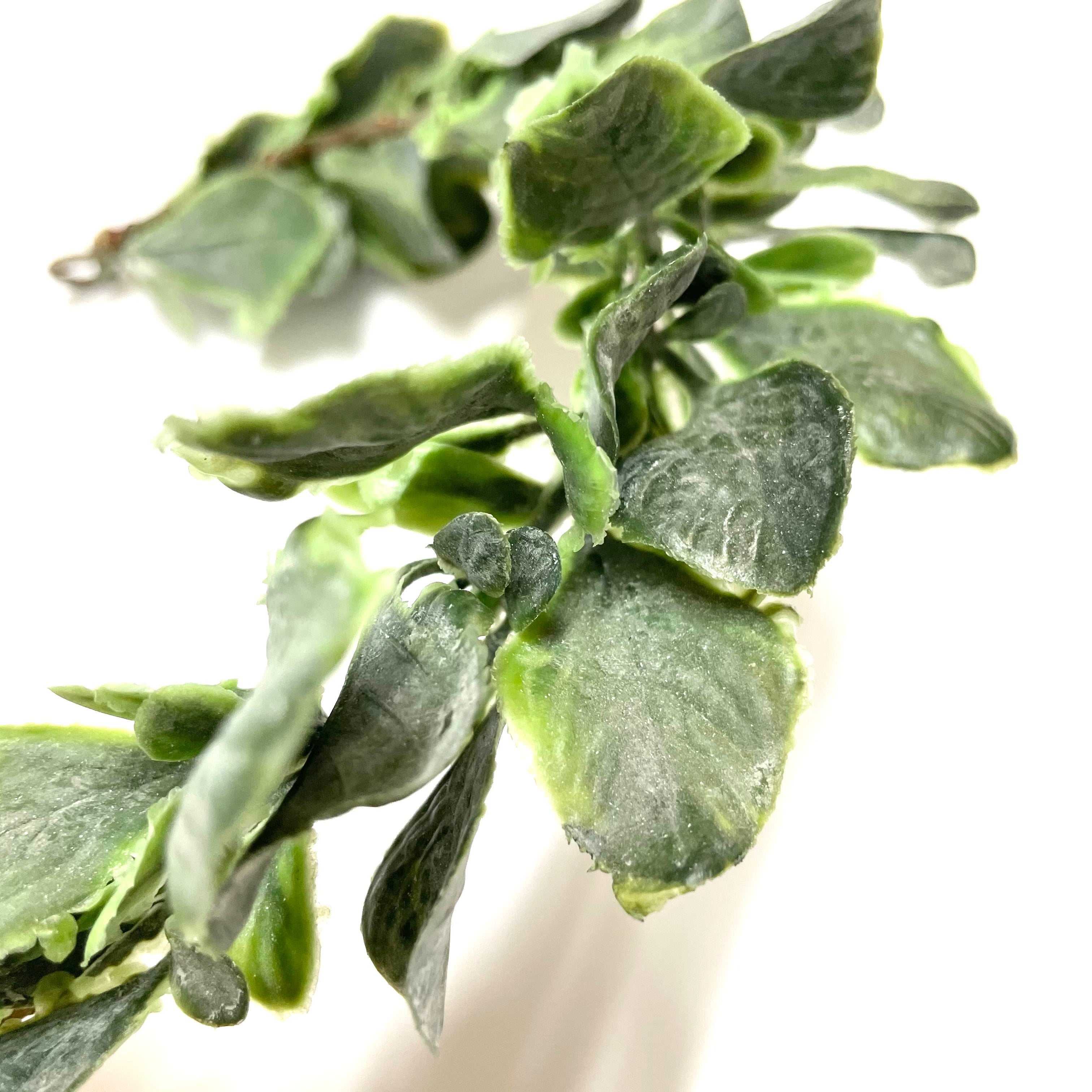 Leaf Greenery Crown Base Stem - Green (Style 5)