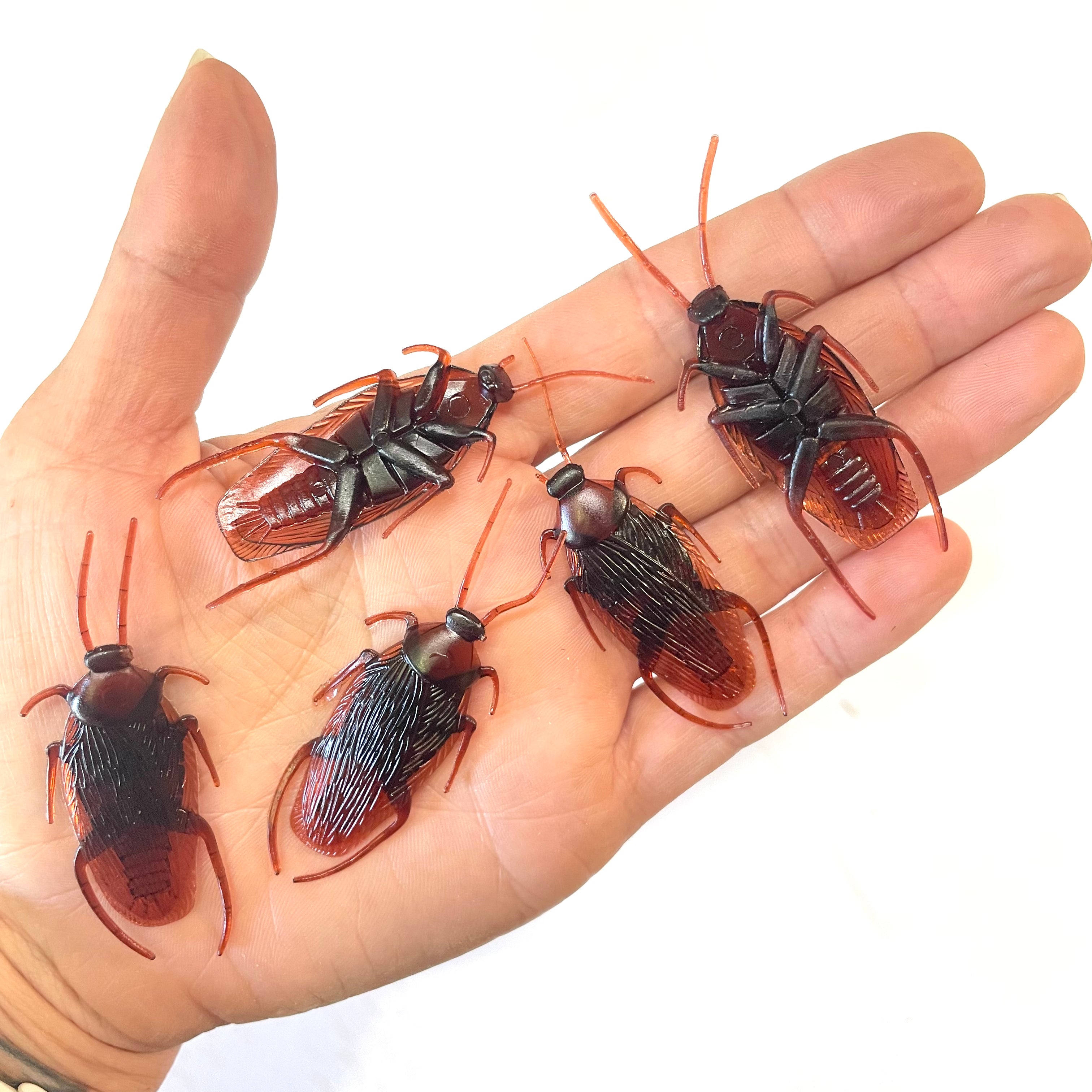 Halloween Fake Bug  Cockroaches - 12 pcs