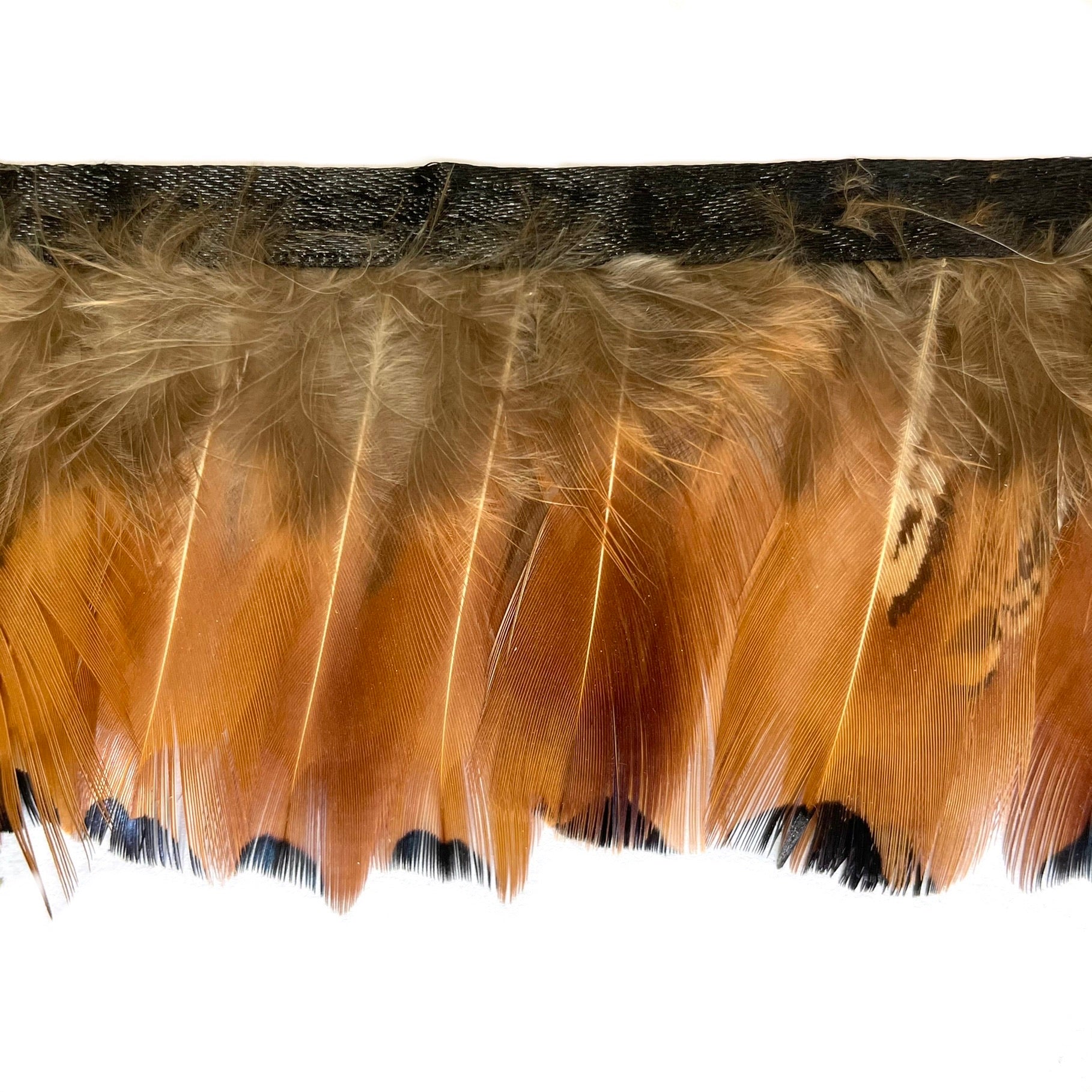 Heart Pheasant Feather Trimming per metre - Natural