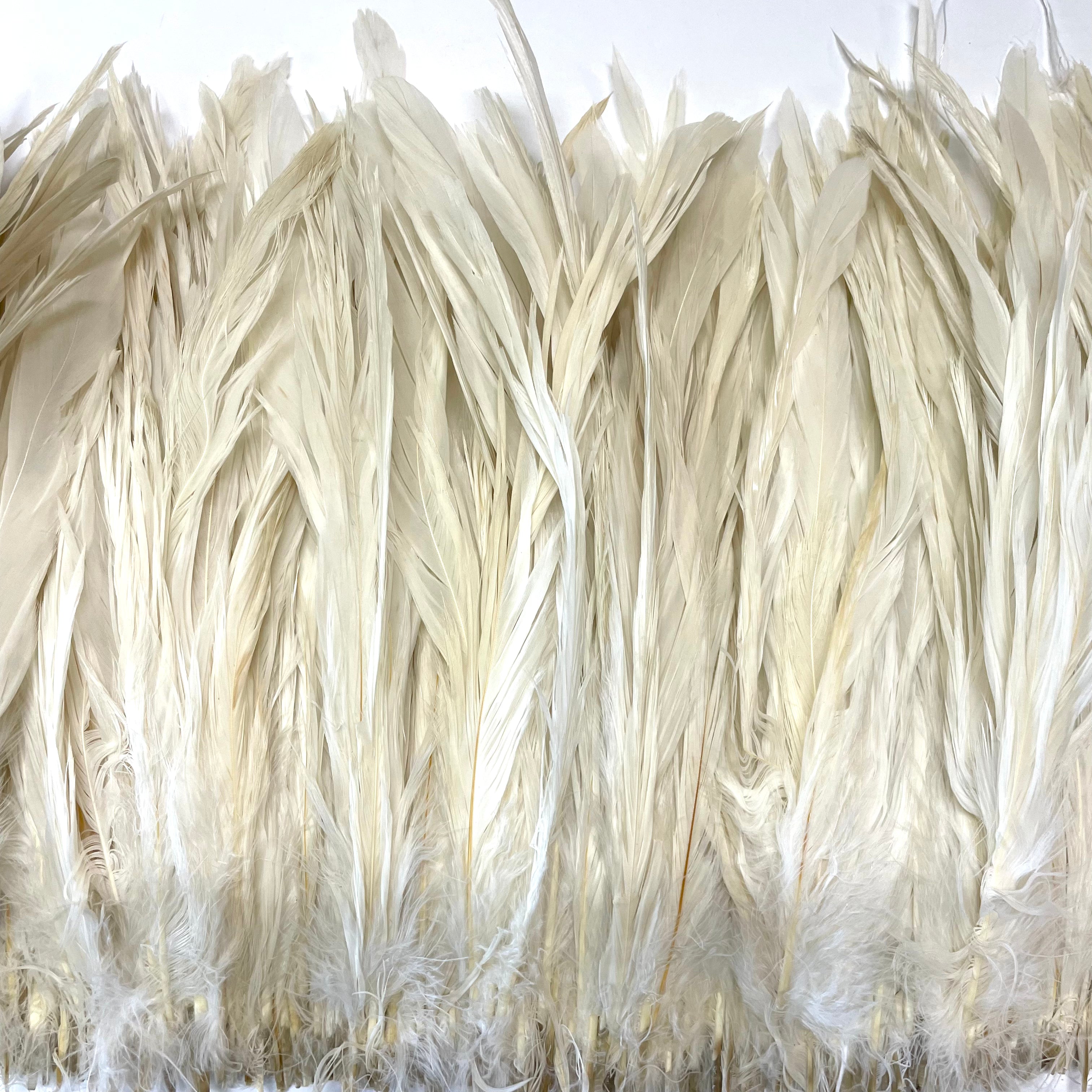 Coque Tail Feather Strung 8/10" - 240mm per 10cm - Off White