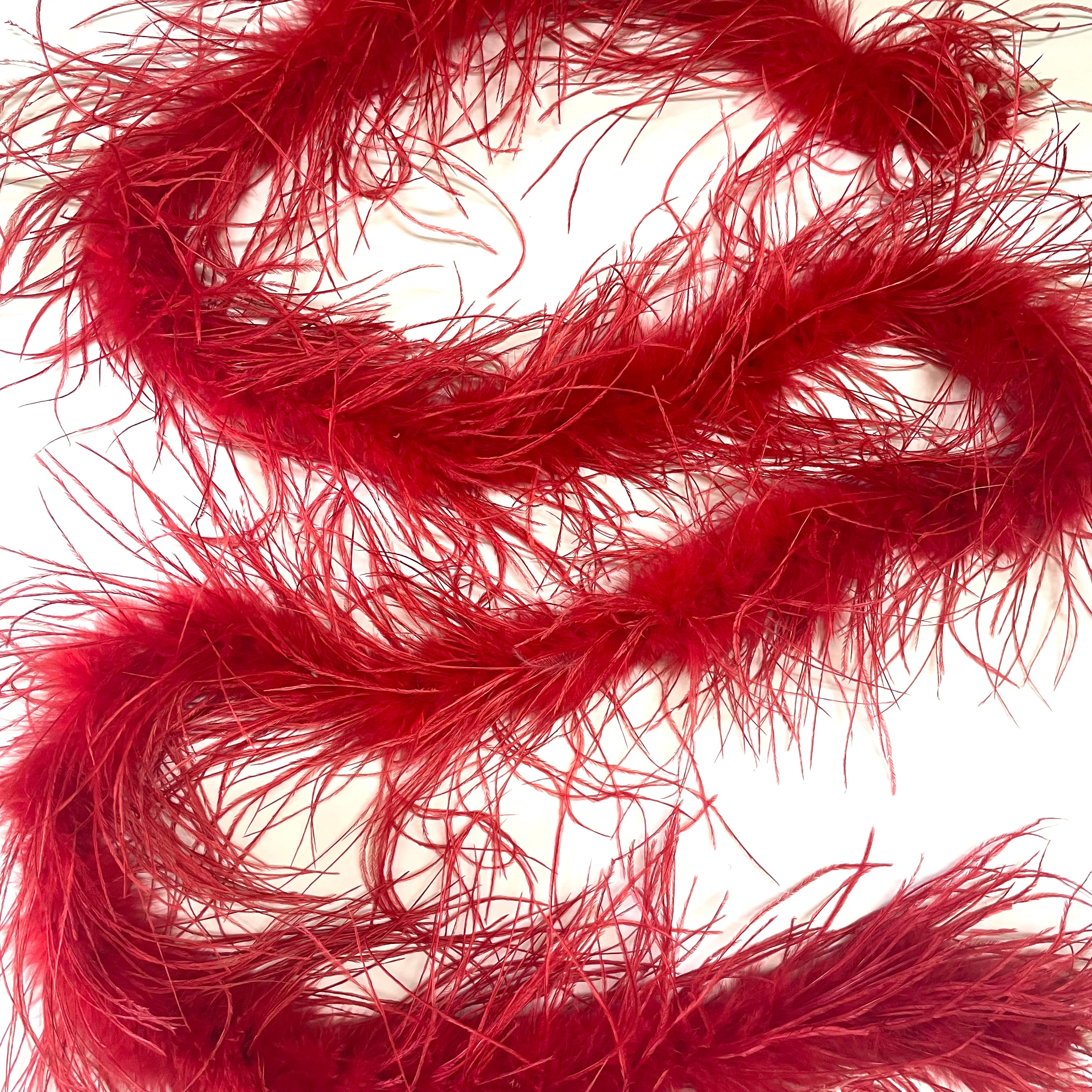 Ostrich & Marabou Feather Boa Trim per 10cm - Red