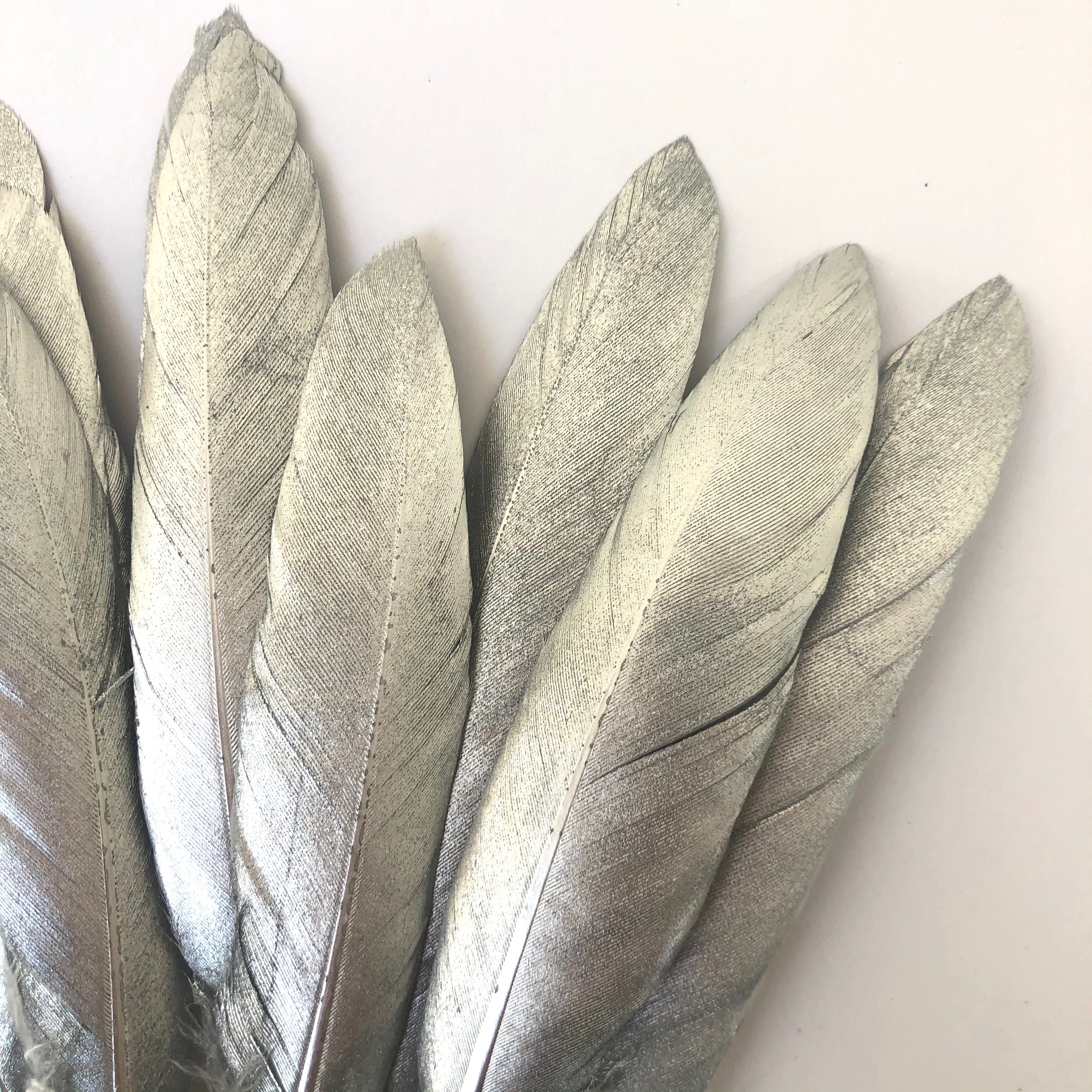 Tiny Goose Pointer Feather Solid Metallic Silver x 10 pcs - Style 31
