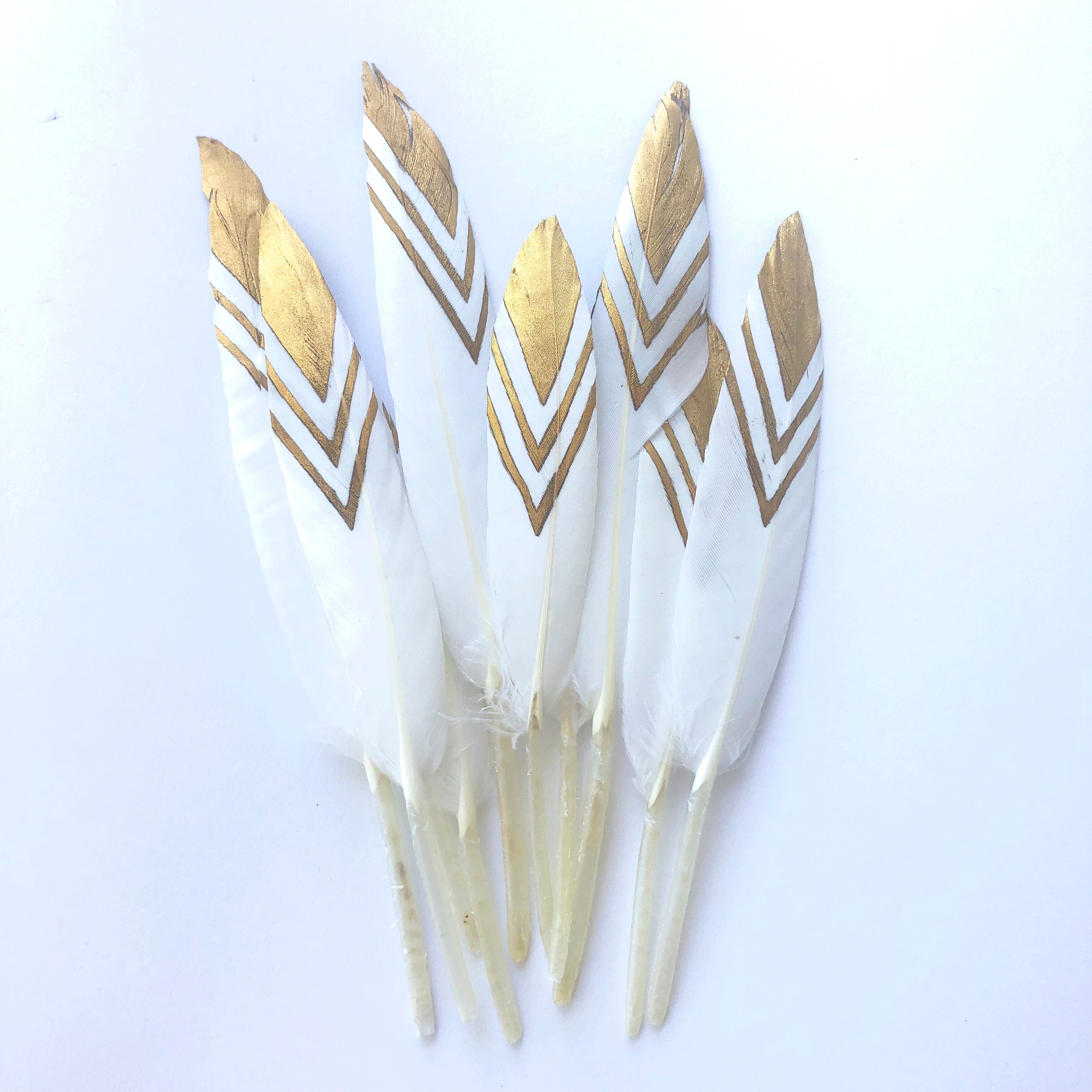 Tiny Goose Pointer Printed White Feather Art Craft - Metallic Gold Style 3 x 10 pcs