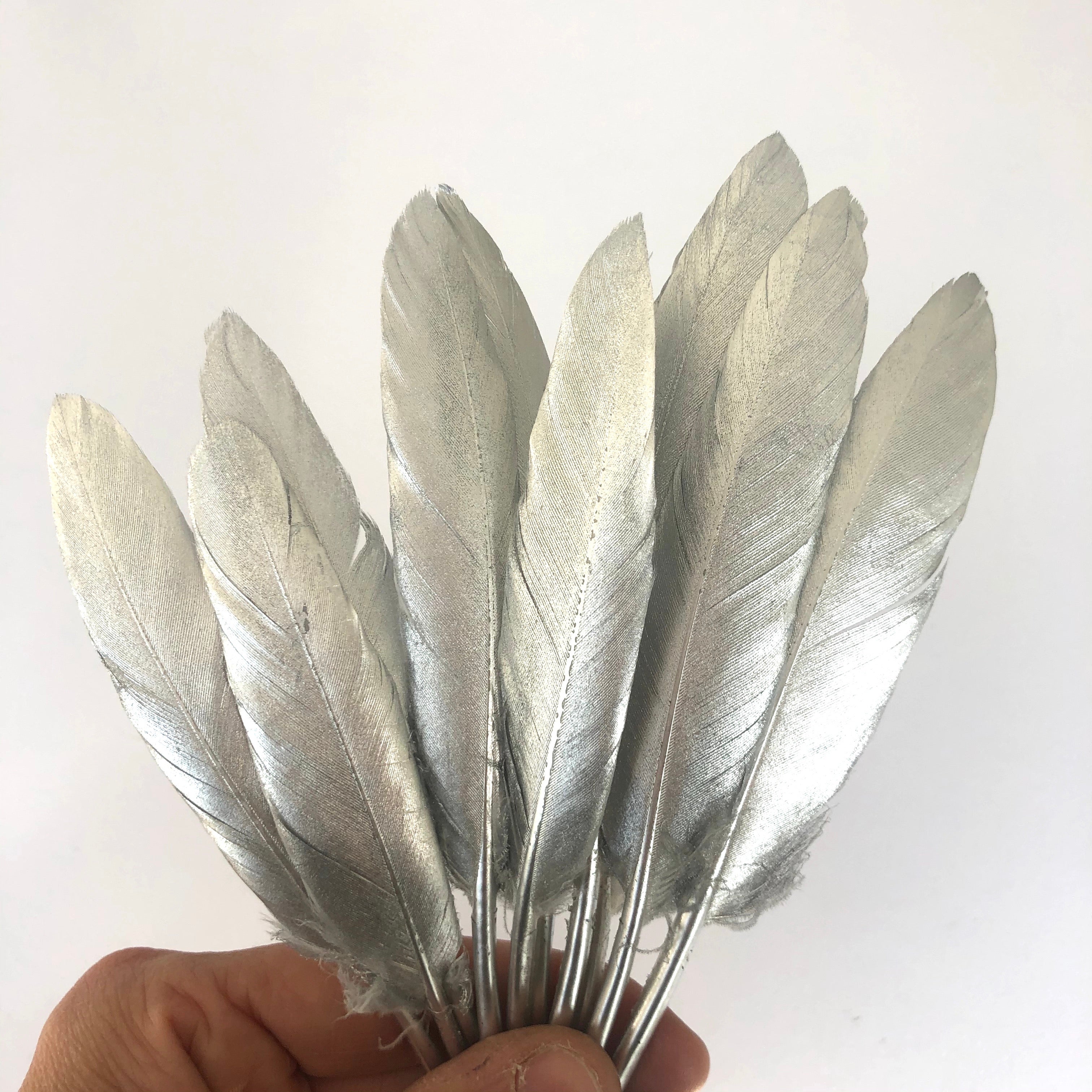 Tiny Goose Pointer Feather Solid Metallic Silver x 10 pcs
