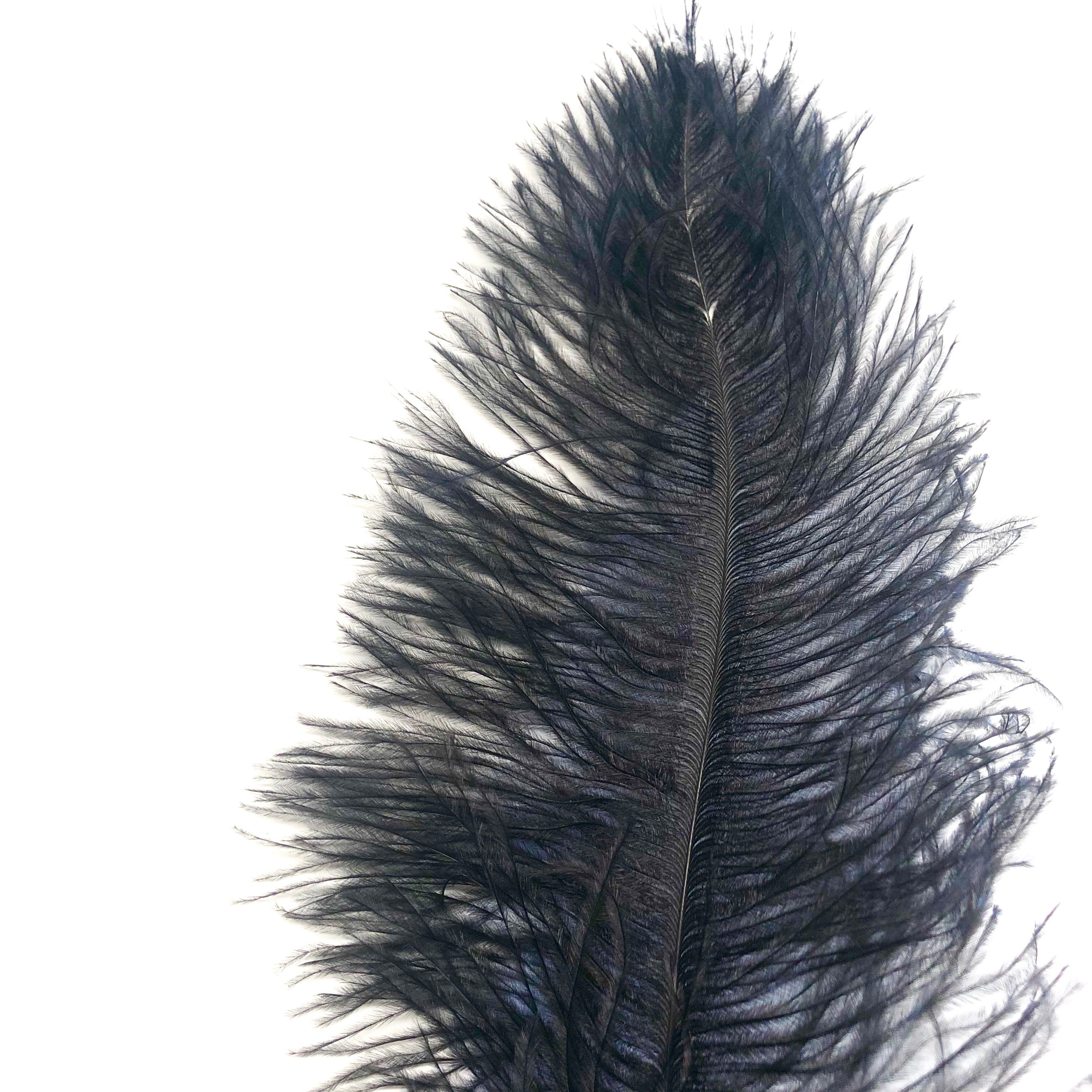 Ostrich Blondine Feather 25-40cm x 5 pcs - Black ((SECONDS))