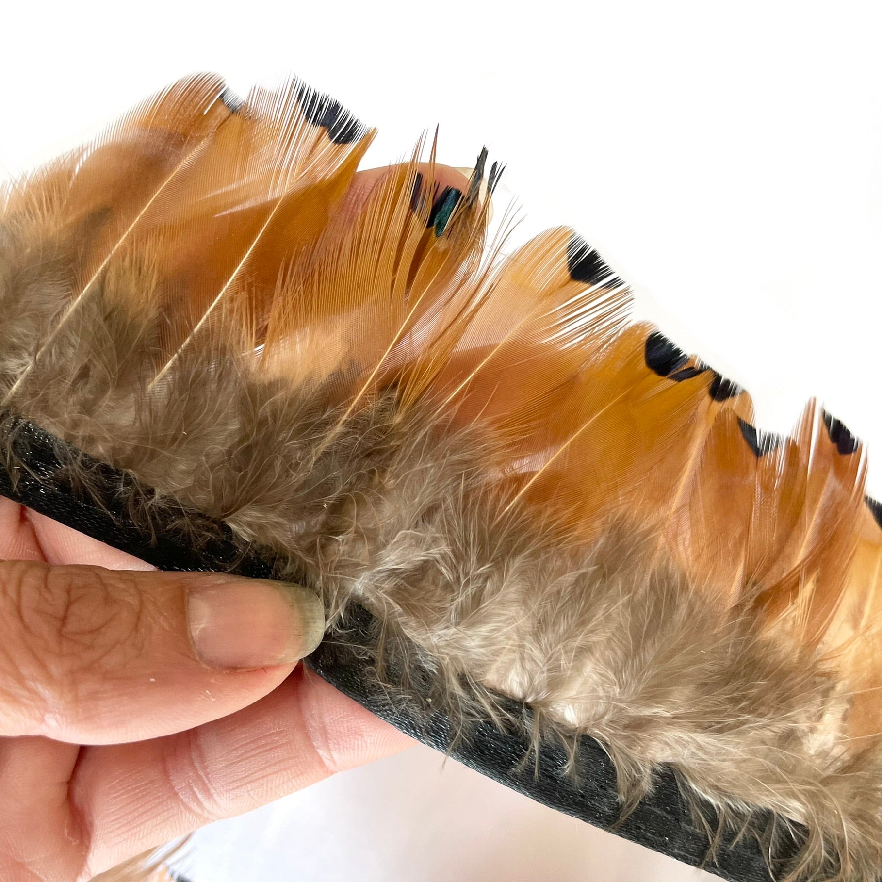 Heart Pheasant Feather Trimming per metre - Natural