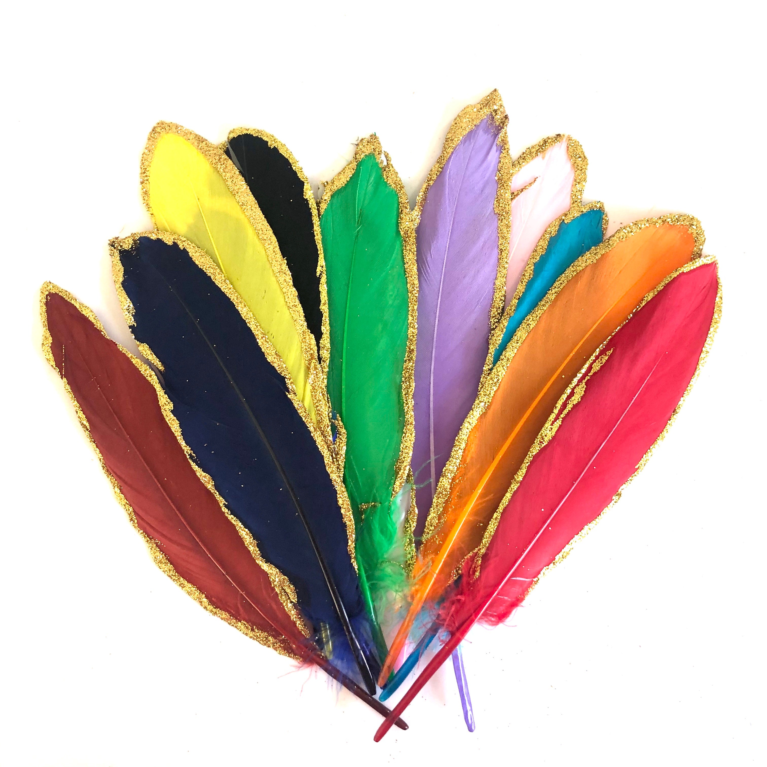 Gold Glitter Edge Goose Pointer Feathers x 10 pcs - Rainbow Assorted - Style 18