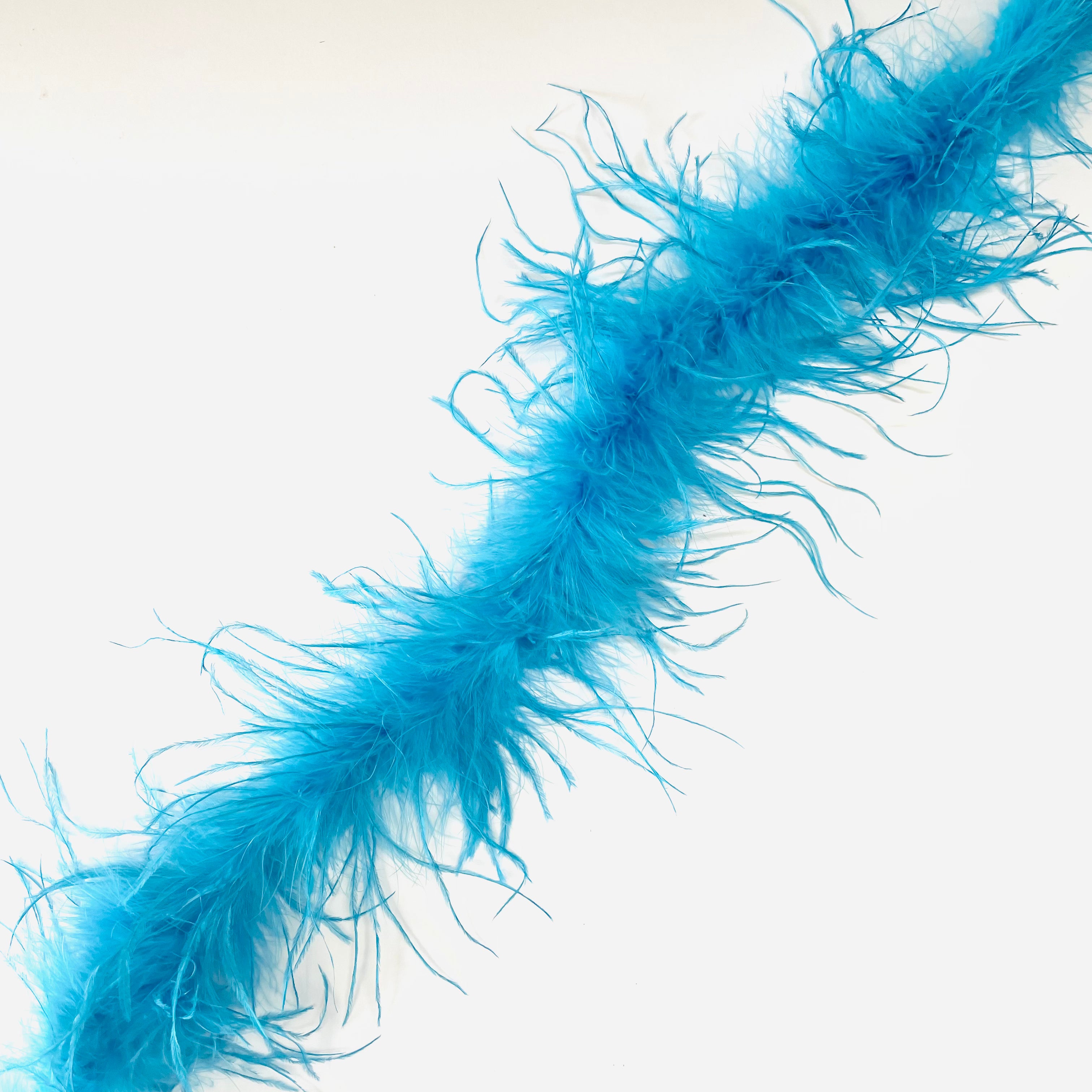 Ostrich & Marabou Feather Boa Trim per 10cm - Aqua