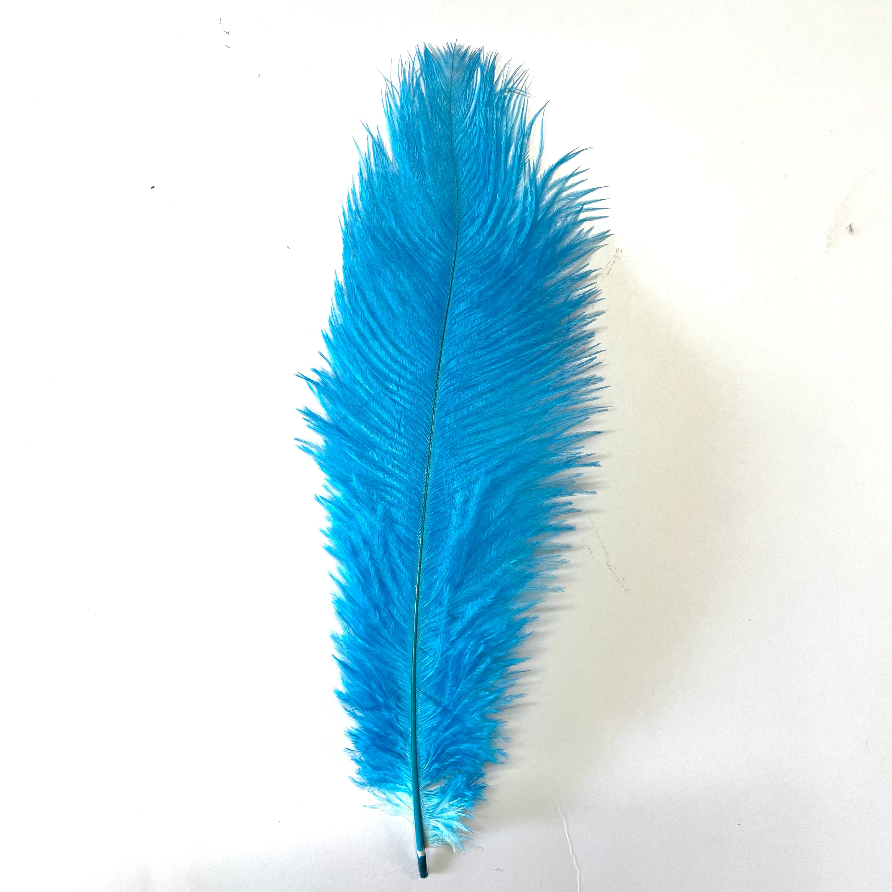 Ostrich Drab Feather 27-32cm - Aqua