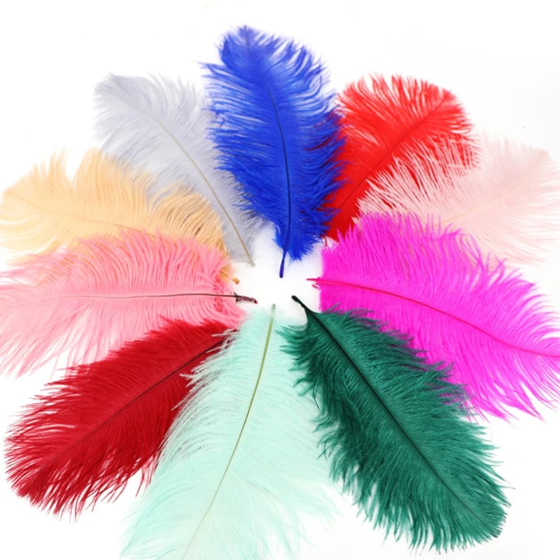 Ostrich Feather Drab 6-15cm x 10 pcs - Rainbow Assorted