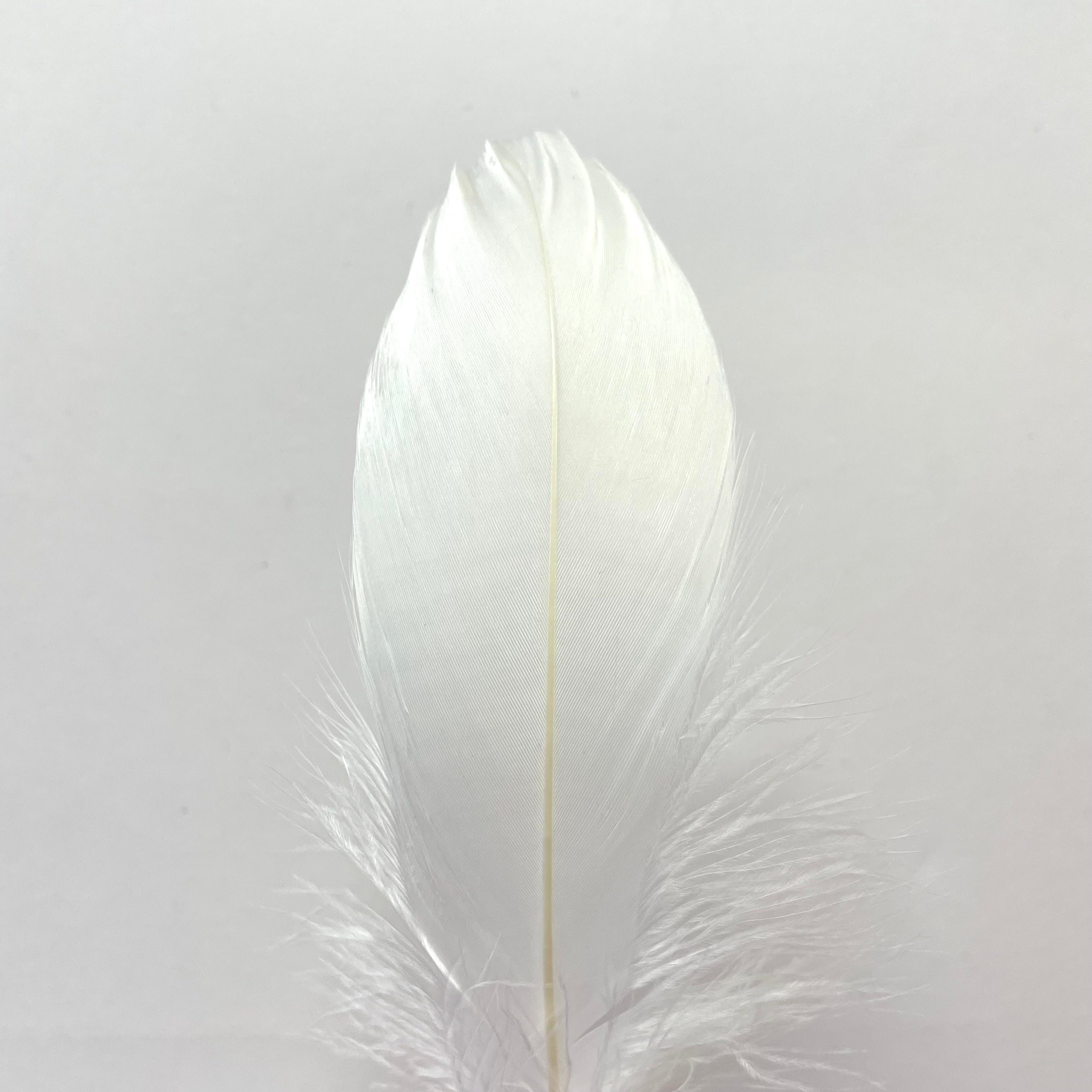 Goose Nagoire Feathers 10 grams - White