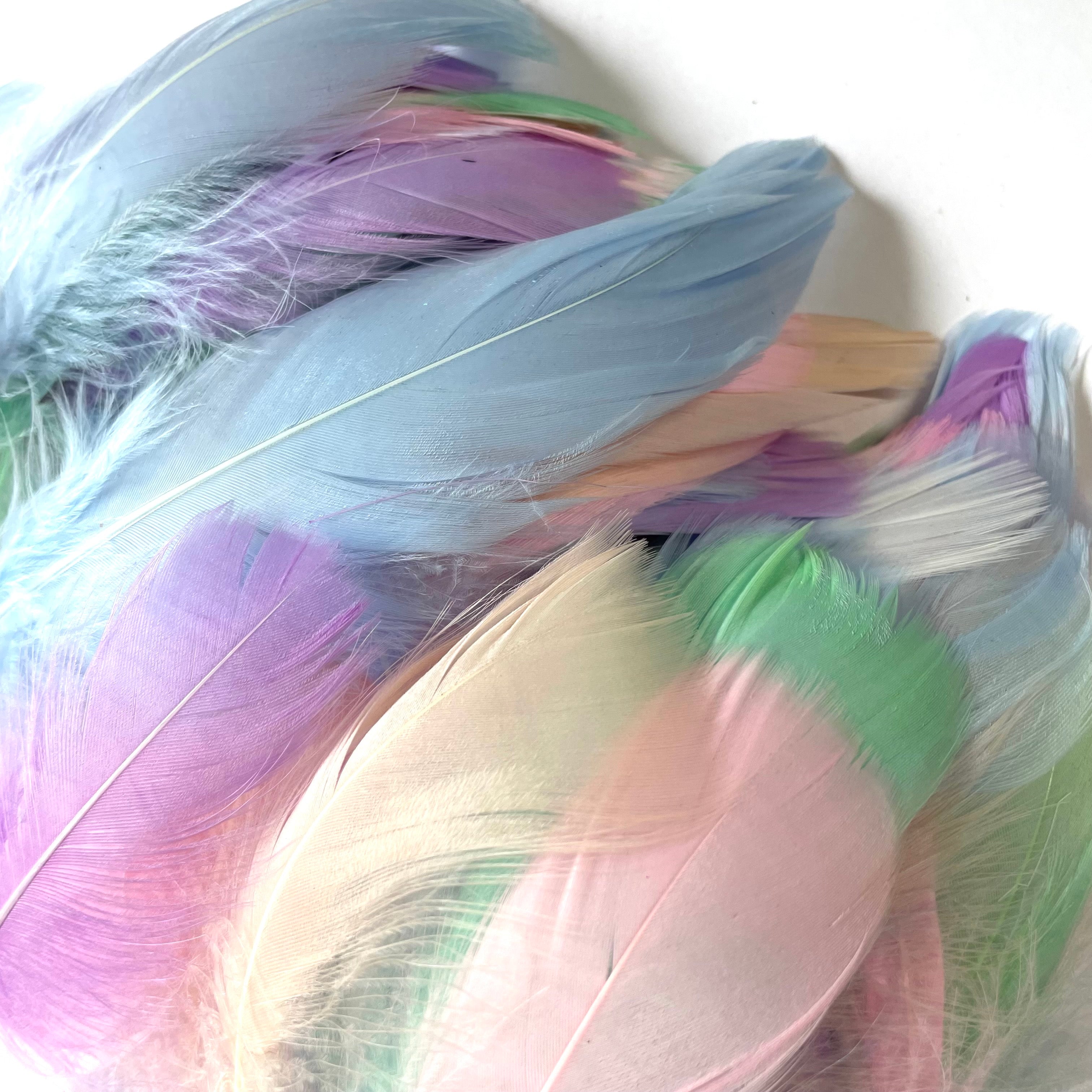 Goose Coquille Feathers 100 pcs - Pastel
