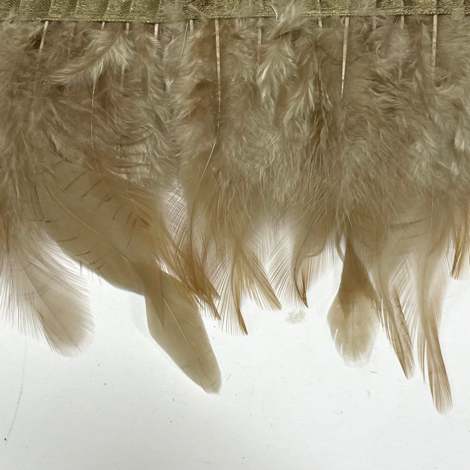 Hackle Saddle Rooster Feather RIBBON Strung per metre - Latte