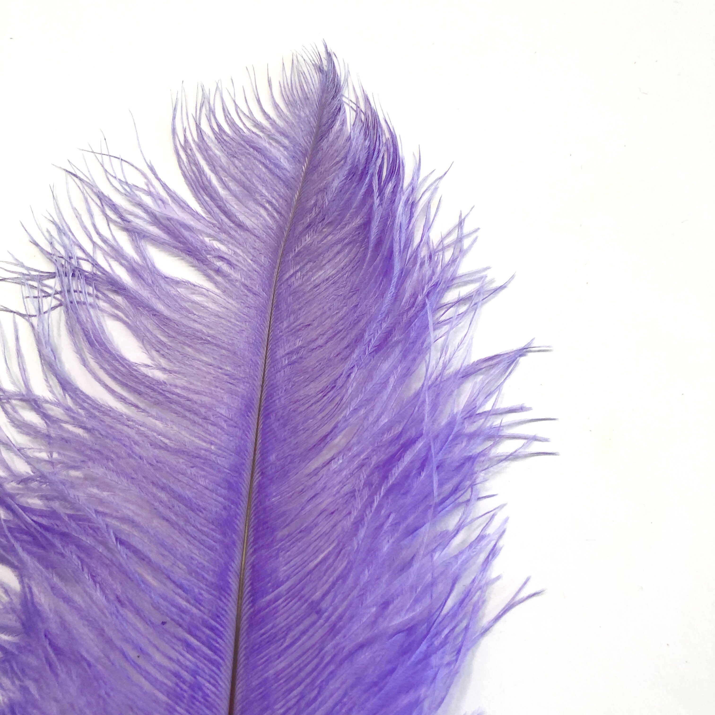 Ostrich Drab Feather 27-32cm - Lilac