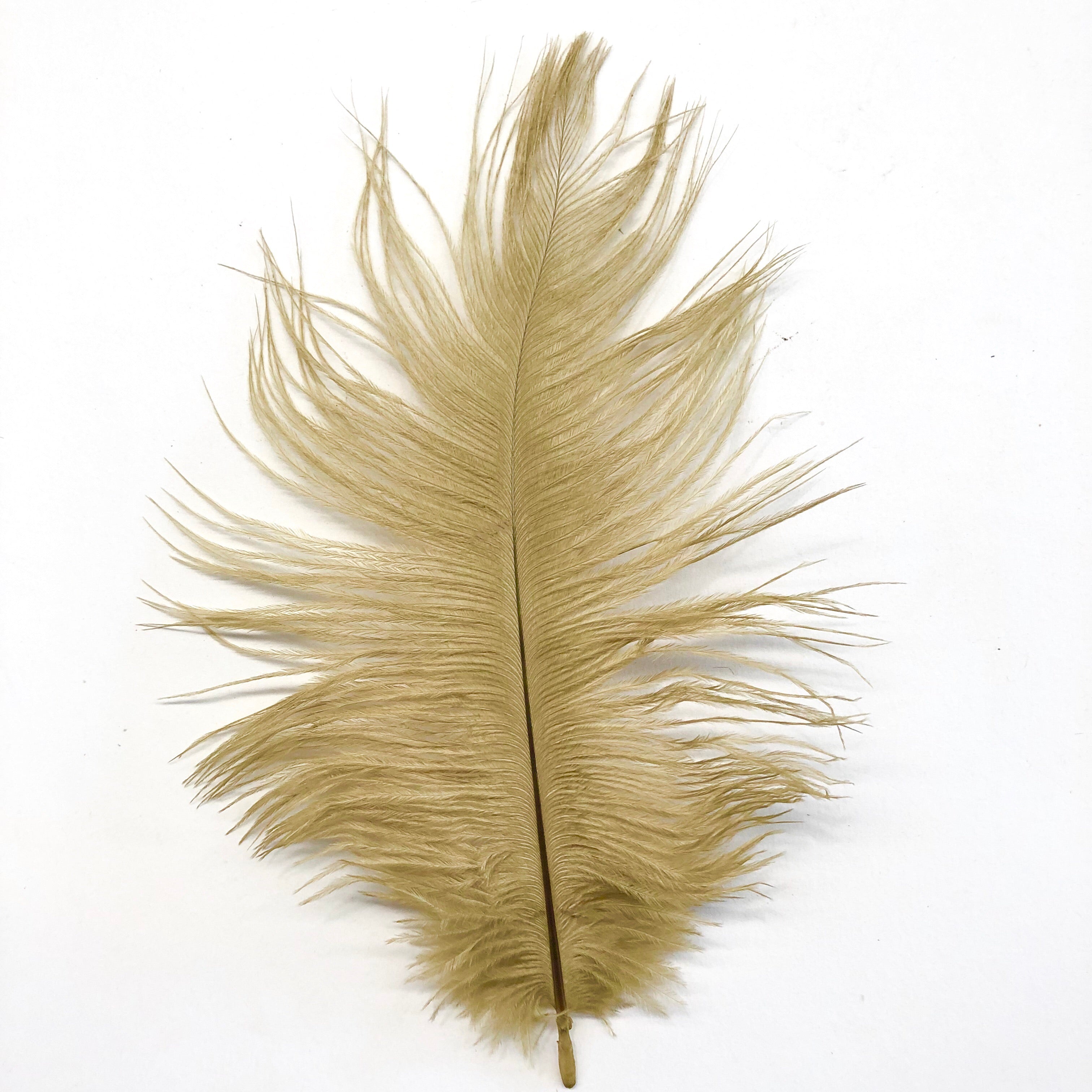 Ostrich Feather Drab 6-15cm x 20 - Gold