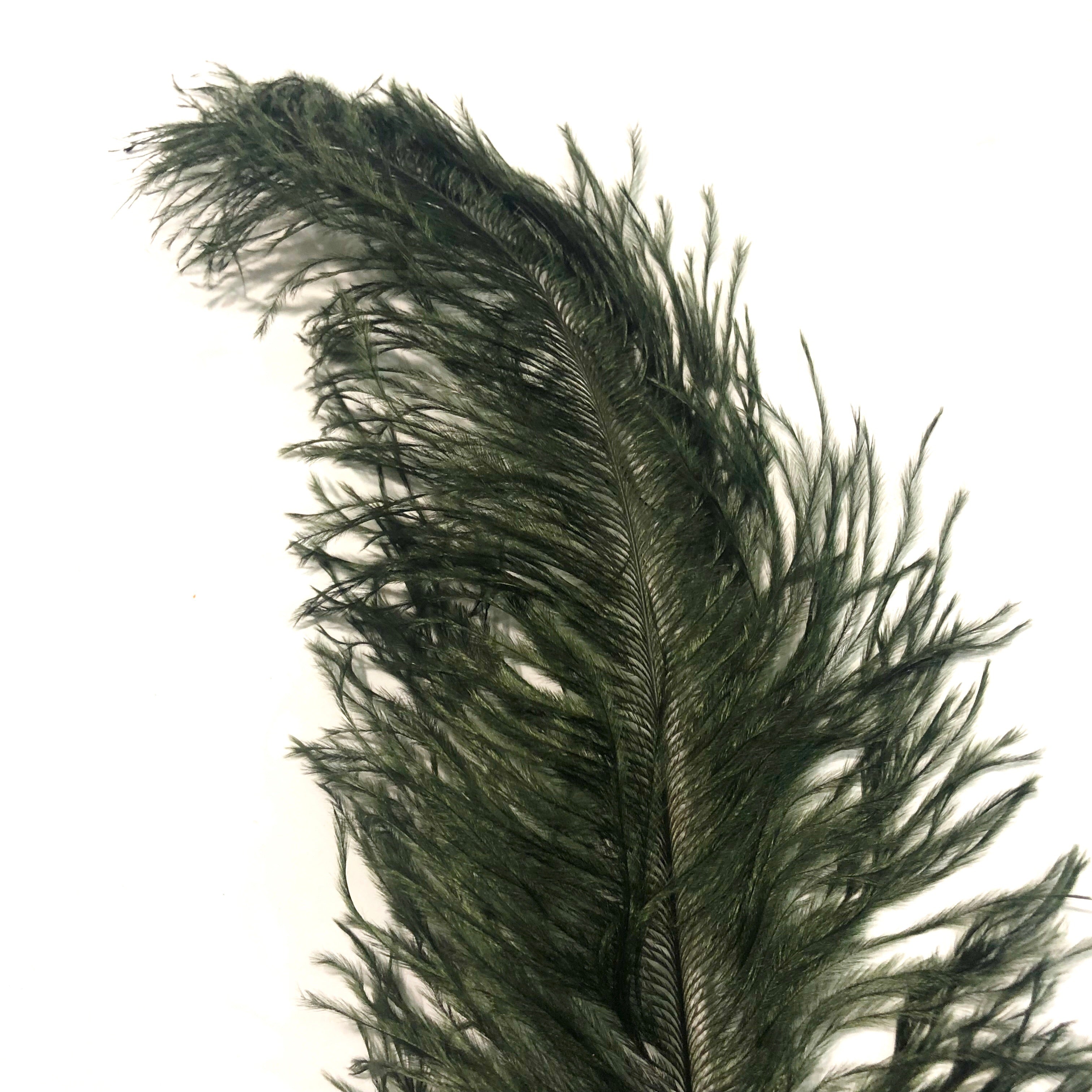 Ostrich Blondine Feather 25-40cm x 5 pcs - Dark Olive ((SECONDS))