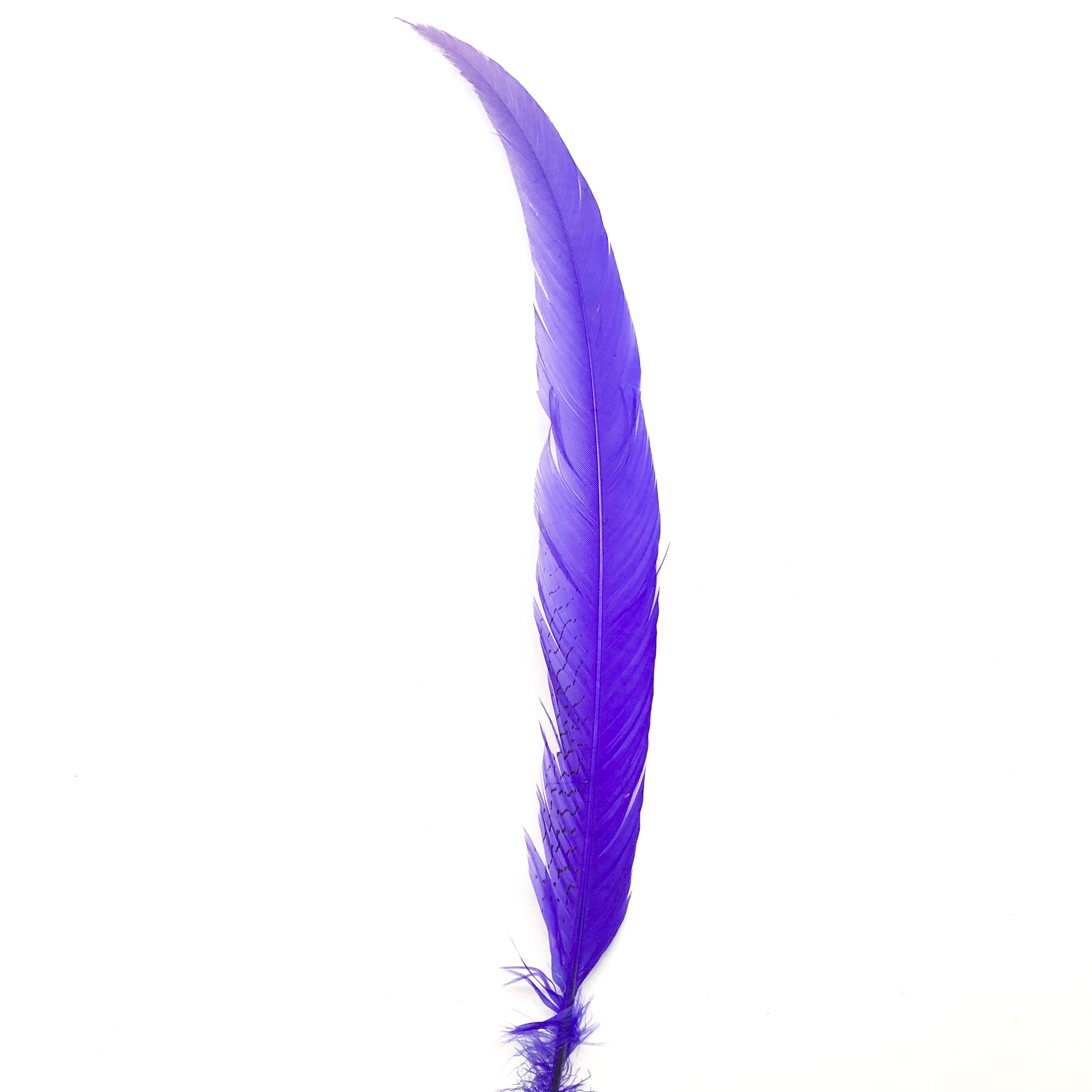 10" To 20" Silver Pheasant Tail Feather - Purple ((SECONDS))
