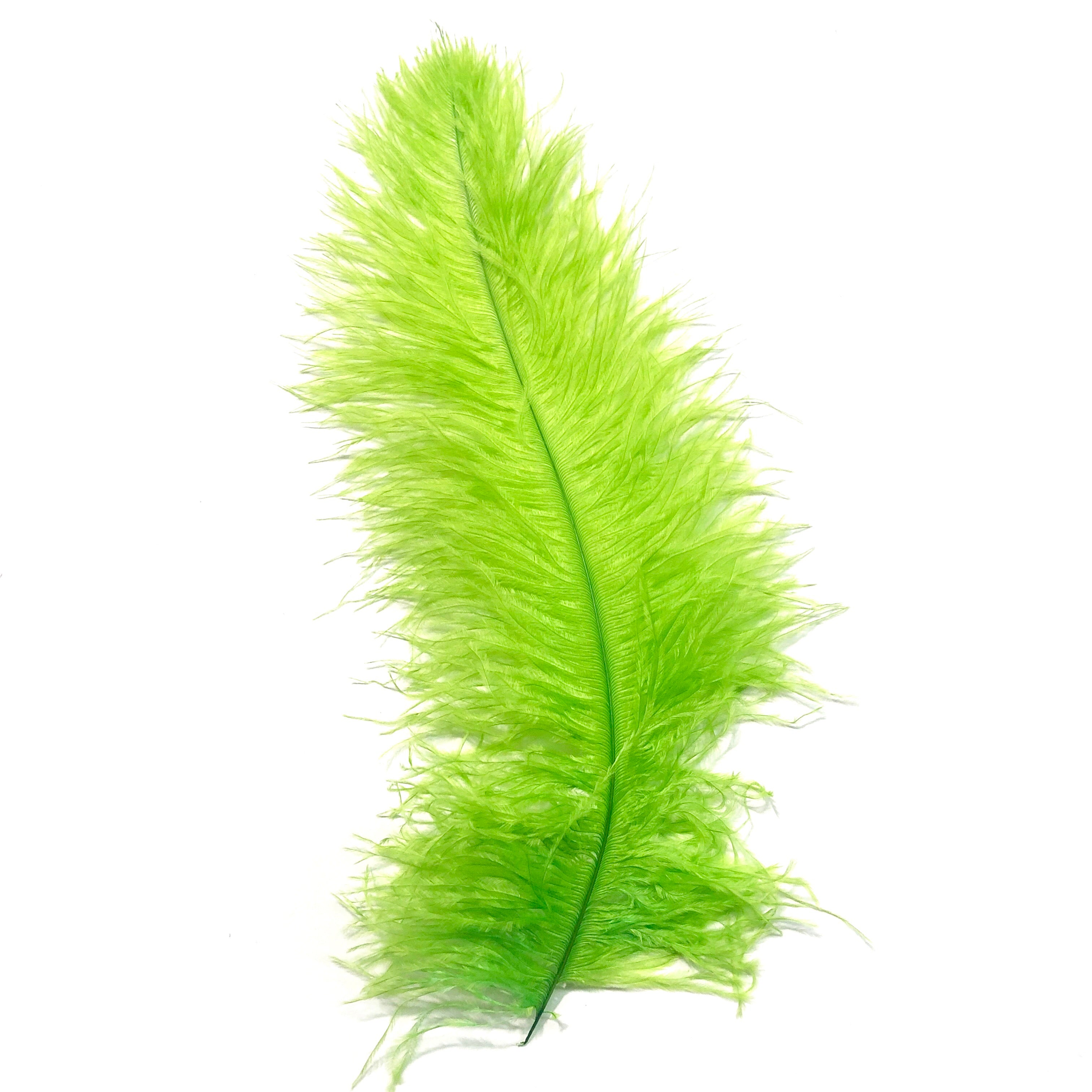 Ostrich Blondine Feather 25-40cm - Lime Green