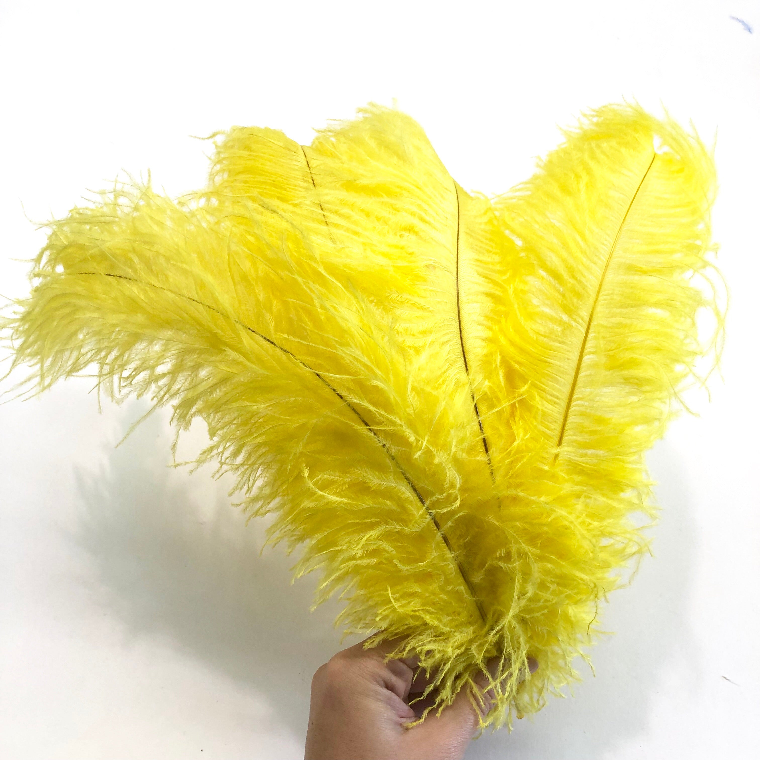 Ostrich Blondine Feather 25-40cm x 5 pcs - Yellow ((SECONDS))