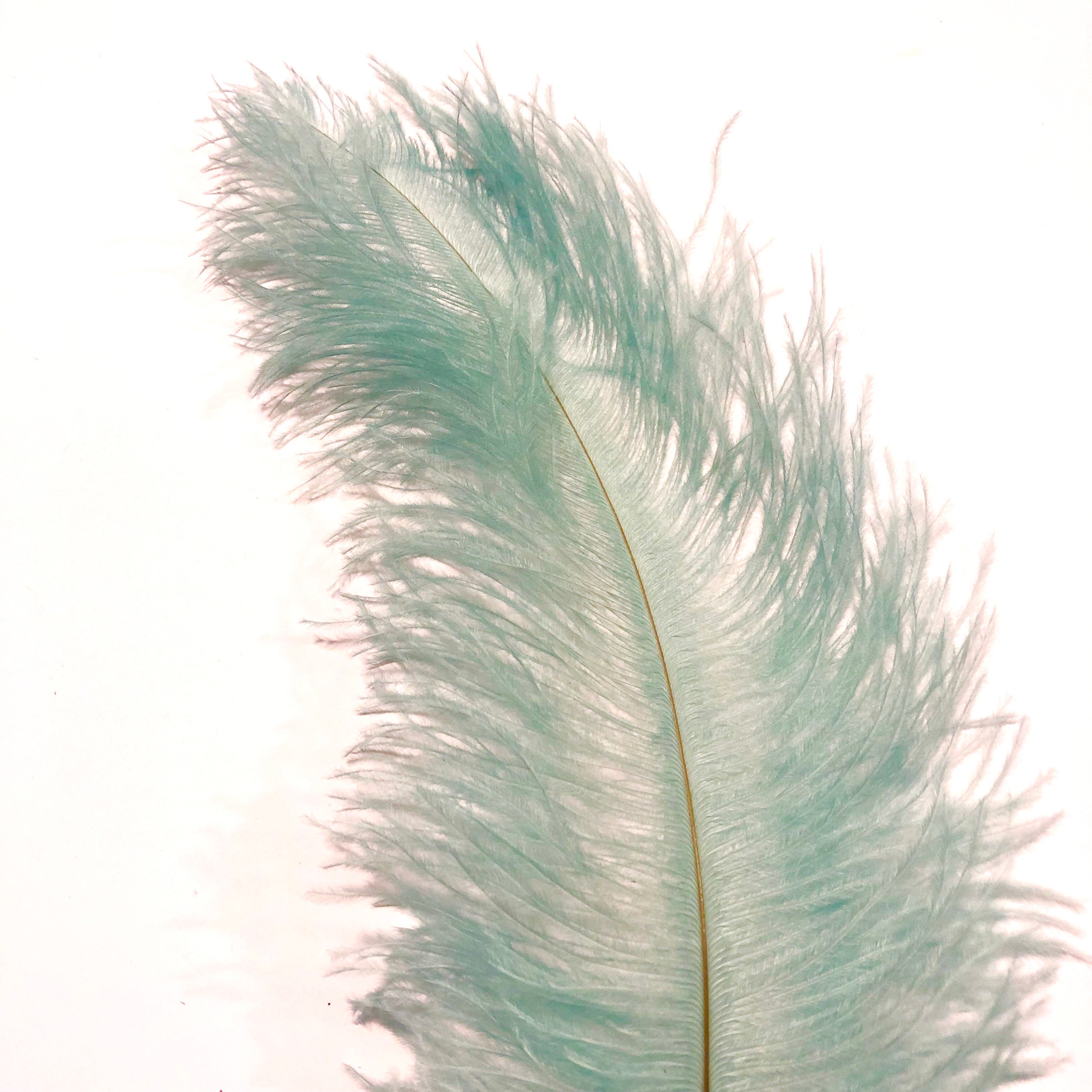 Ostrich Blondine Feather 25-40cm - Spearmint