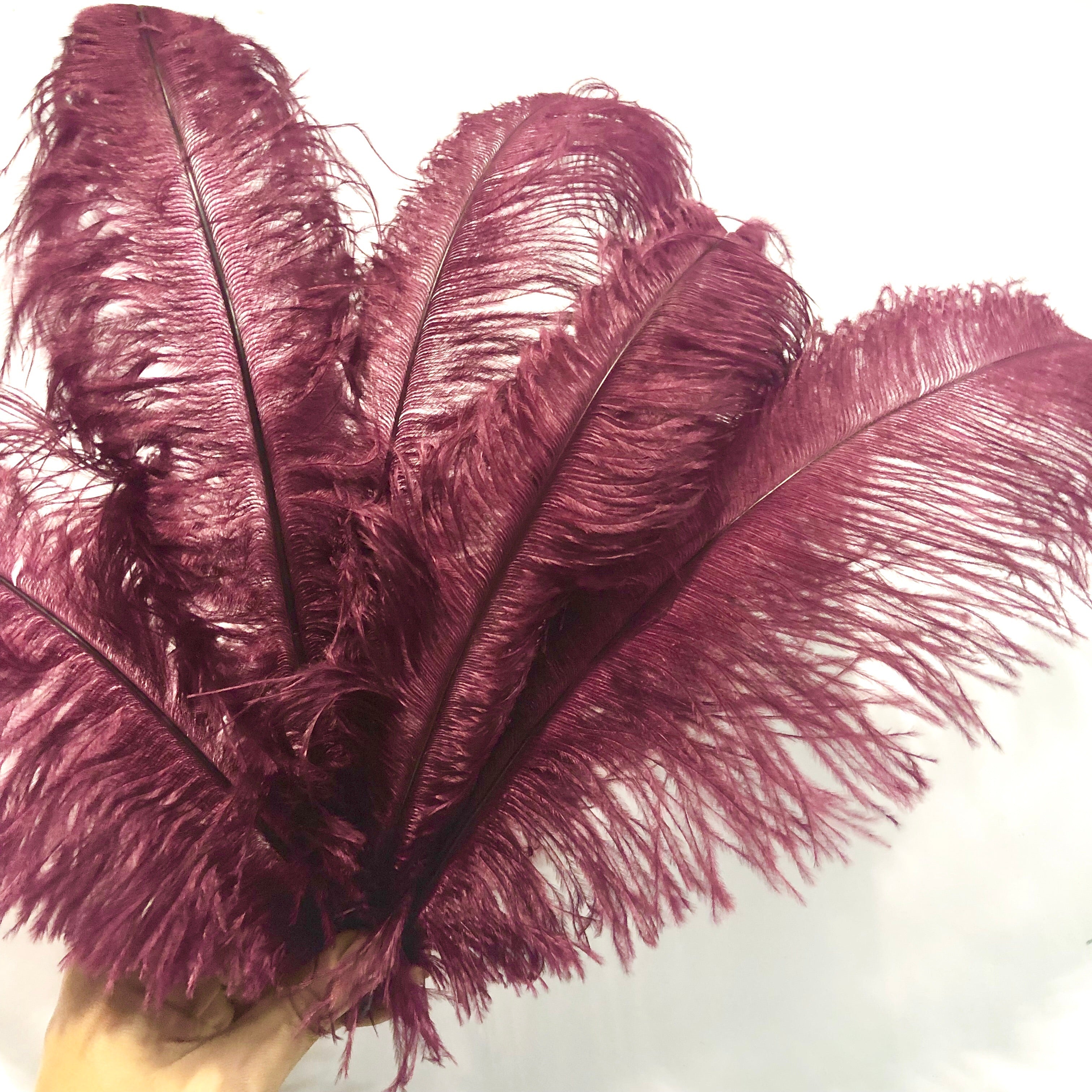 Ostrich Blondine Feather 25-40cm - Burgundy